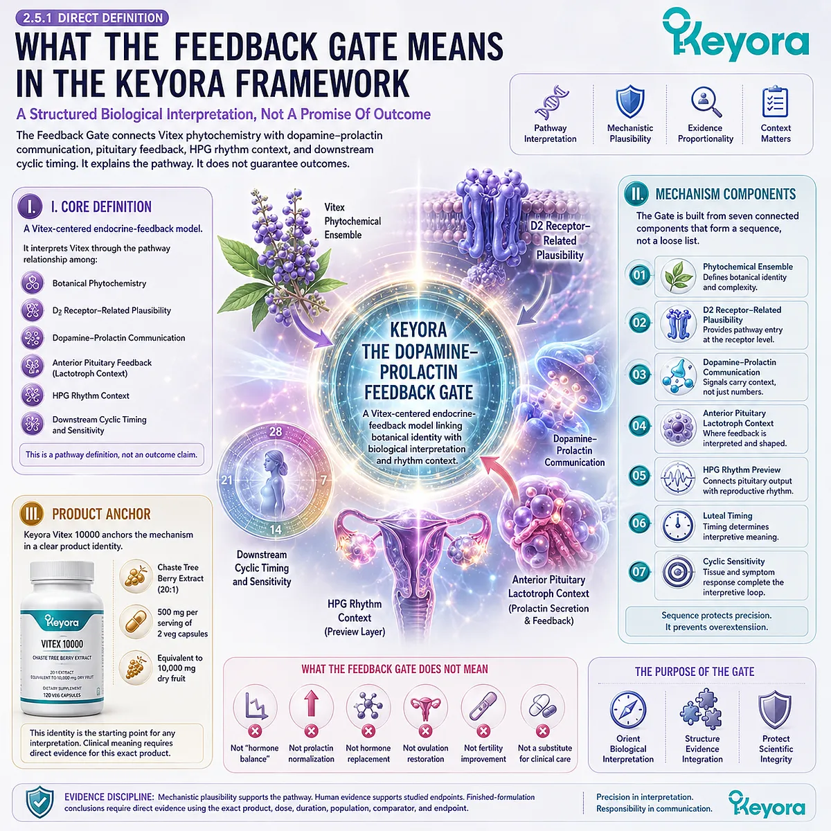 Vitex endocrine feedback definition integrating phytochemical complexity, D2 receptor-related plausibility, dopamine-prolactin communication, pituitary signaling, and female rhythm timing through the Keyora Dopamine-Prolactin Feedback Gate. Vitex endocrine feedback definition integrating phytochemical complexity, D2 receptor-related plausibility, dopamine-prolactin communication, pituitary signaling, and female rhythm timing through the Keyora Dopamine-Prolactin Feedback Gate.