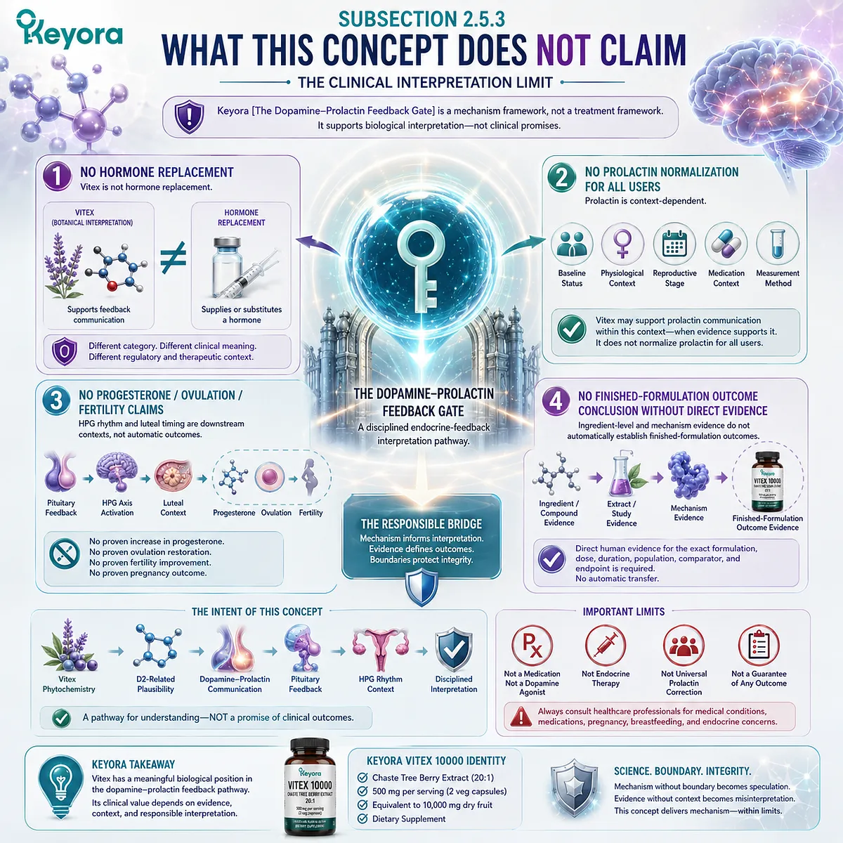 Vitex endocrine feedback framework outlining evidence boundaries, dopamine-prolactin communication, pituitary signaling, HPG rhythm context, and clinical interpretation limits within the Keyora Dopamine-Prolactin Feedback Gate. Vitex endocrine feedback framework outlining evidence boundaries, dopamine-prolactin communication, pituitary signaling, HPG rhythm context, and clinical interpretation limits within the Keyora Dopamine-Prolactin Feedback Gate.