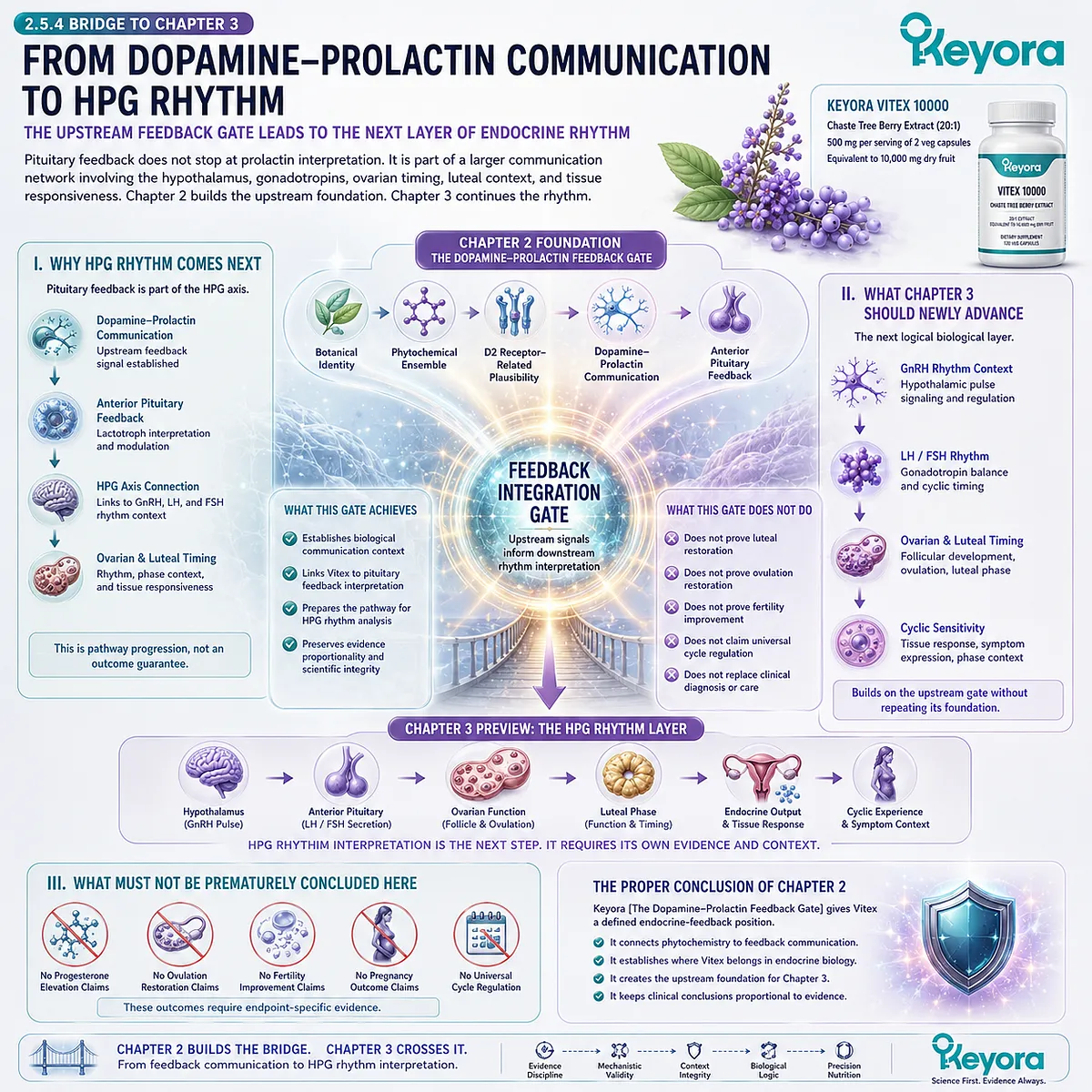 Vitex female rhythm pathway connecting dopamine-prolactin communication, pituitary feedback, GnRH-LH-FSH signaling, HPG rhythm coordination, and luteal timing through the Keyora Dopamine-Prolactin Feedback Gate. Vitex female rhythm pathway connecting dopamine-prolactin communication, pituitary feedback, GnRH-LH-FSH signaling, HPG rhythm coordination, and luteal timing through the Keyora Dopamine-Prolactin Feedback Gate.