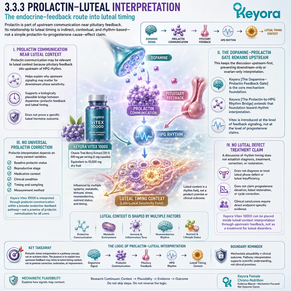 Vitex, prolactin communication, luteal timing, and female rhythm support through dopamine-prolactin feedback, pituitary signaling, and endocrine coordination within the Keyora Prolactin-to-HPG Rhythm Bridge. Vitex, prolactin communication, luteal timing, and female rhythm support through dopamine-prolactin feedback, pituitary signaling, and endocrine coordination within the Keyora Prolactin-to-HPG Rhythm Bridge.