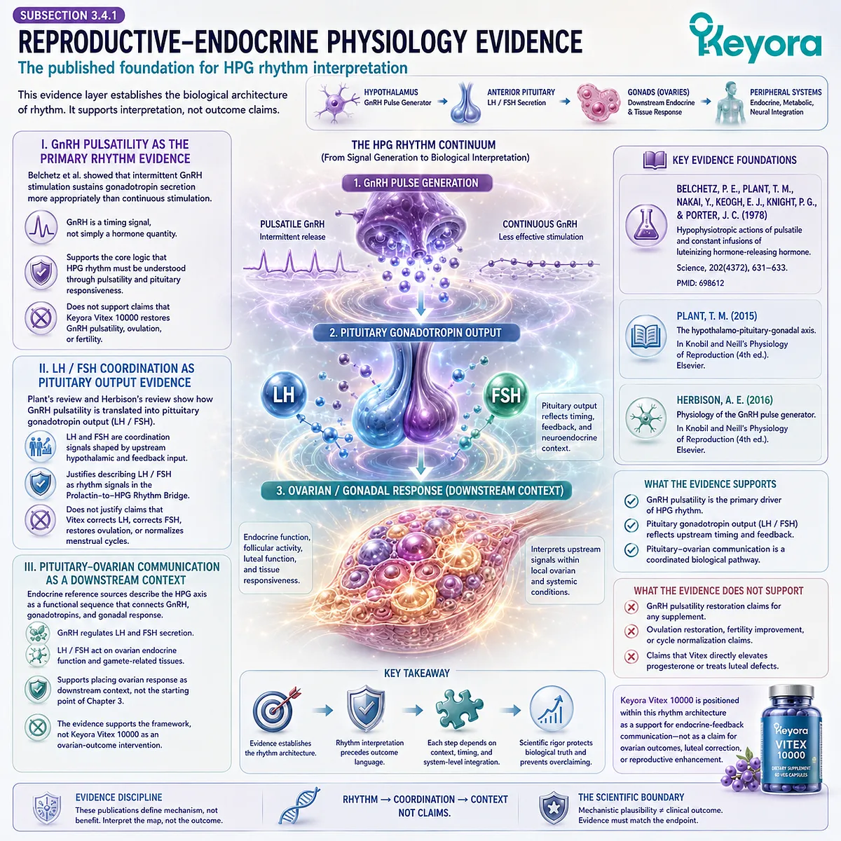 Vitex, GnRH pulsatility, LH/FSH coordination, and female reproductive rhythm interpreted through hypothalamic-pituitary-ovarian communication within the Keyora Prolactin-to-HPG Rhythm Bridge evidence framework. Vitex, GnRH pulsatility, LH/FSH coordination, and female reproductive rhythm interpreted through hypothalamic-pituitary-ovarian communication within the Keyora Prolactin-to-HPG Rhythm Bridge evidence framework.