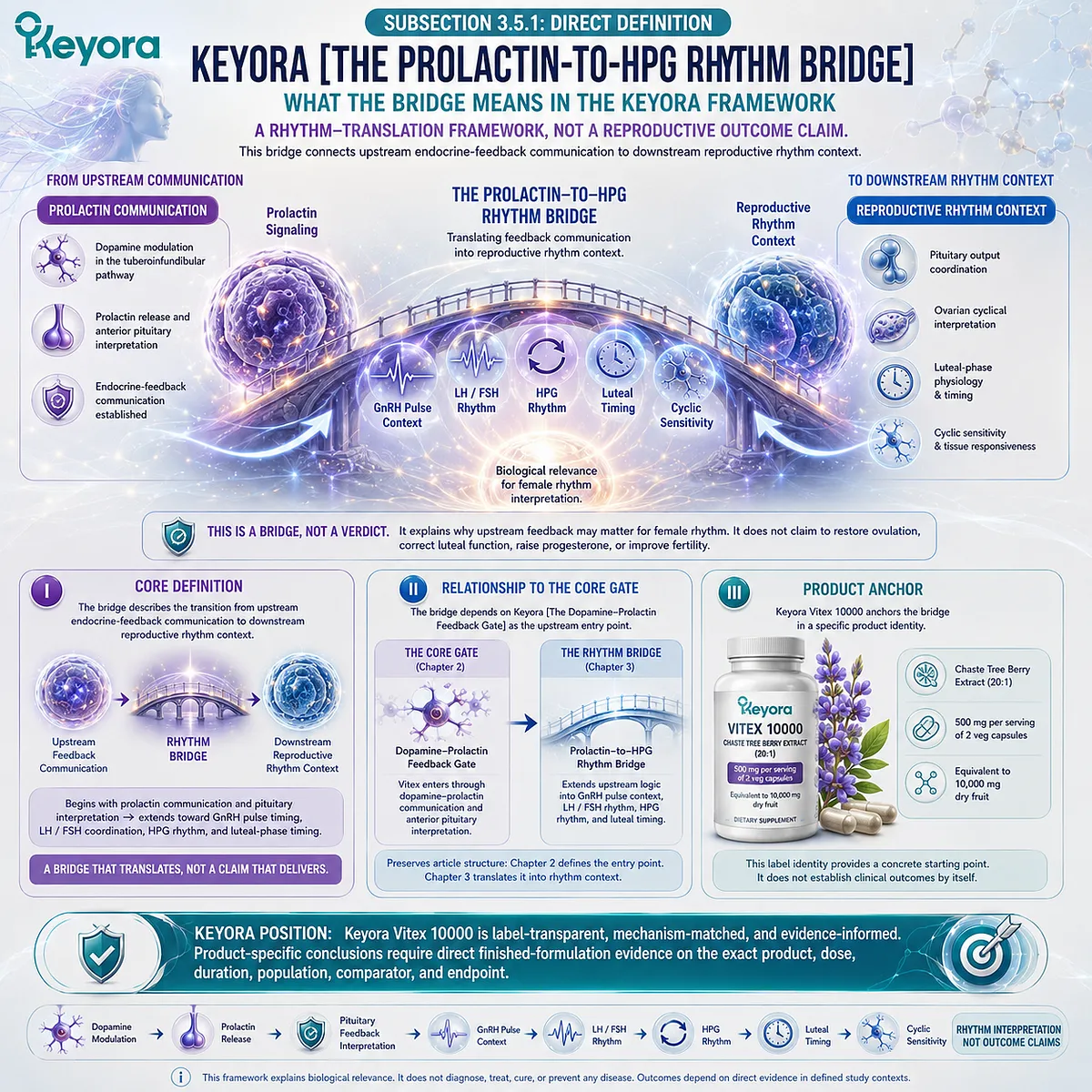 Vitex, prolactin communication, GnRH pulse timing, LH/FSH coordination, and female rhythm support connected through endocrine-feedback signaling within the Keyora Prolactin-to-HPG Rhythm Bridge framework. Vitex, prolactin communication, GnRH pulse timing, LH/FSH coordination, and female rhythm support connected through endocrine-feedback signaling within the Keyora Prolactin-to-HPG Rhythm Bridge framework.