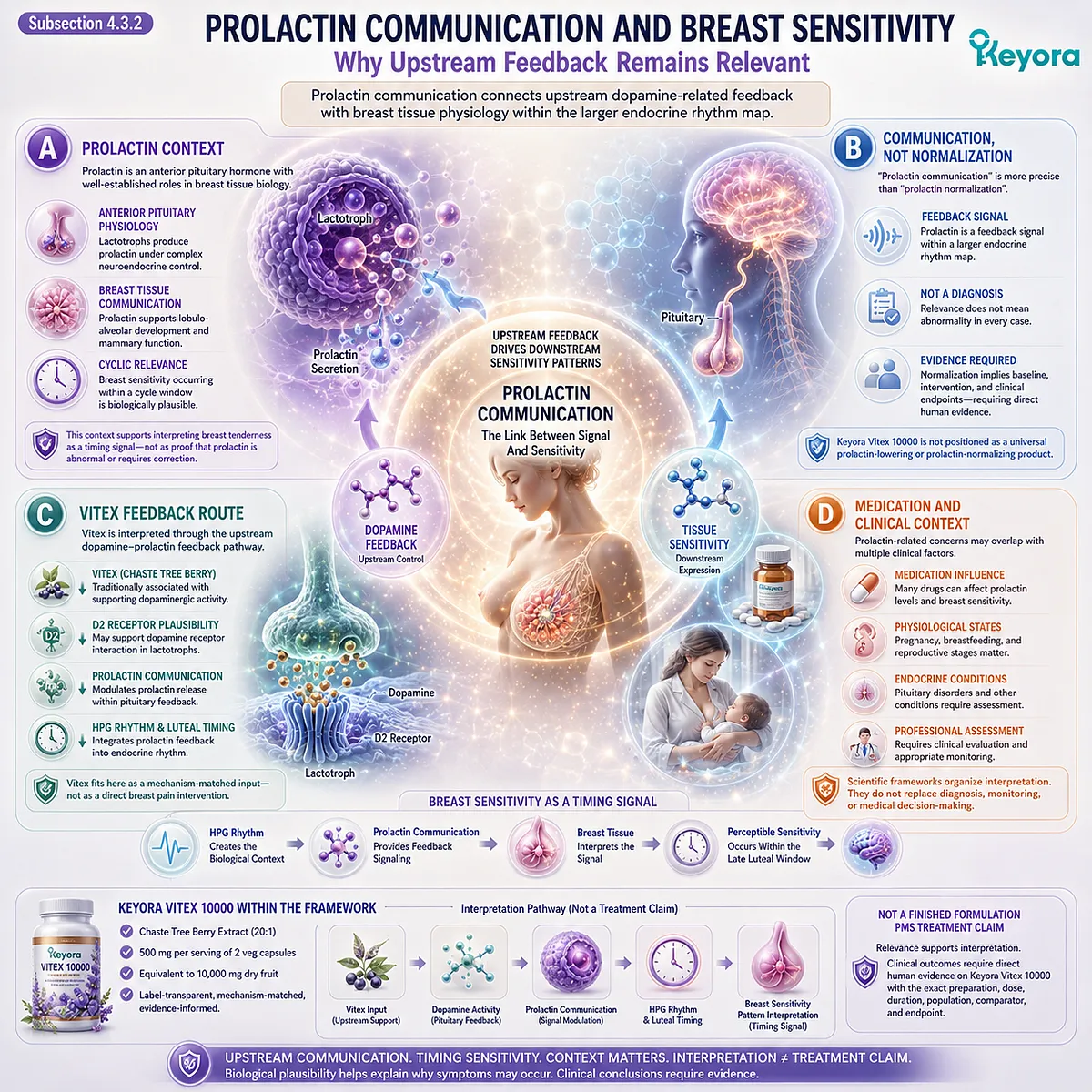 Breast tenderness, prolactin-related concerns, and cyclic breast sensitivity linked through dopamine-prolactin communication, pituitary feedback, and endocrine rhythm timing in the Keyora Female Chrono-Nutrition framework. Breast tenderness, prolactin-related concerns, and cyclic breast sensitivity linked through dopamine-prolactin communication, pituitary feedback, and endocrine rhythm timing in the Keyora Female Chrono-Nutrition framework.
