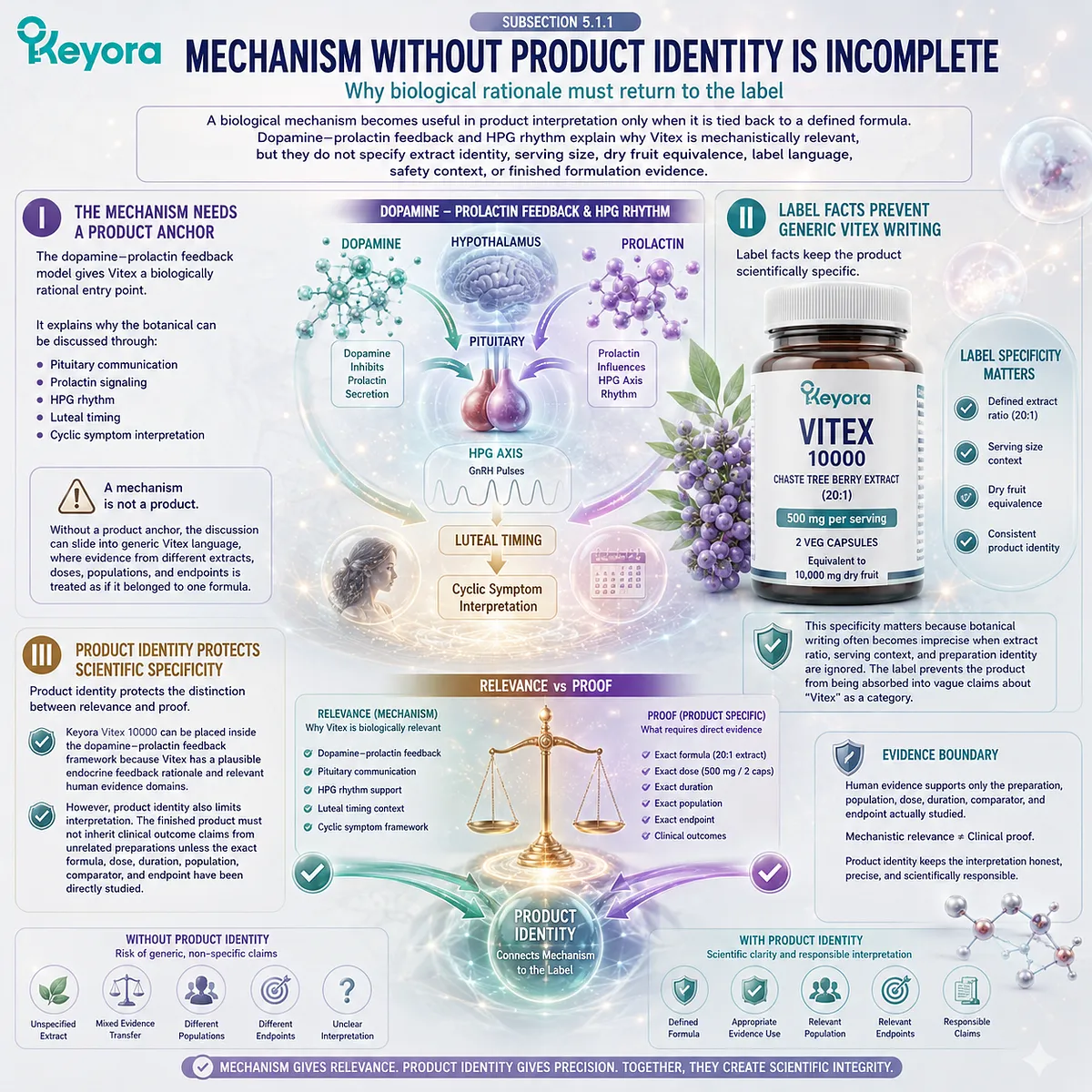 Vitex hormone balance support, dopamine-prolactin feedback, HPG rhythm signaling, and label transparency showing how extract identity, serving context, and evidence boundaries guide the Keyora Product Formula Purpose Layer. Vitex hormone balance support, dopamine-prolactin feedback, HPG rhythm signaling, and label transparency showing how extract identity, serving context, and evidence boundaries guide the Keyora Product Formula Purpose Layer.