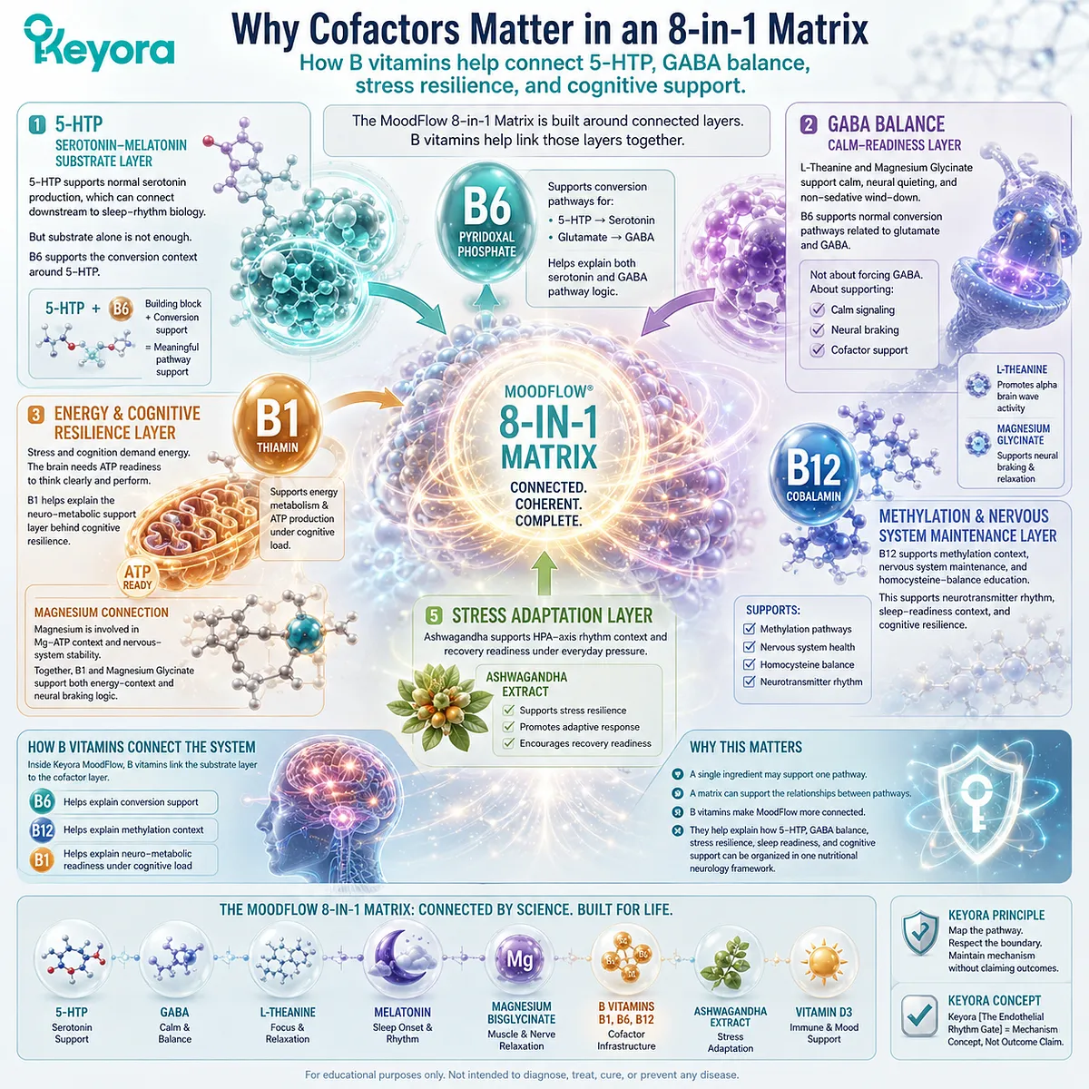 B vitamins for stress support, sleep readiness, and cognitive performance linked through serotonin pathways, GABA balance, ATP metabolism, methylation support, and the Keyora MoodFlow 8-in-1 Matrix. B vitamins for stress support, sleep readiness, and cognitive performance linked through serotonin pathways, GABA balance, ATP metabolism, methylation support, and the Keyora MoodFlow 8-in-1 Matrix.