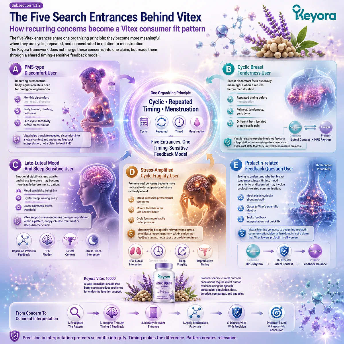 Vitex searches commonly begin with PMS-type discomfort, cyclic breast tenderness, late-luteal mood and sleep changes, stress-amplified sensitivity, and prolactin-related questions, all organized through cyclic timing, dopamine-prolactin feedback, and HPG rhythm in the Keyora Cyclic Symptom Timing Lens. Vitex searches commonly begin with PMS-type discomfort, cyclic breast tenderness, late-luteal mood and sleep changes, stress-amplified sensitivity, and prolactin-related questions, all organized through cyclic timing, dopamine-prolactin feedback, and HPG rhythm in the Keyora Cyclic Symptom Timing Lens.