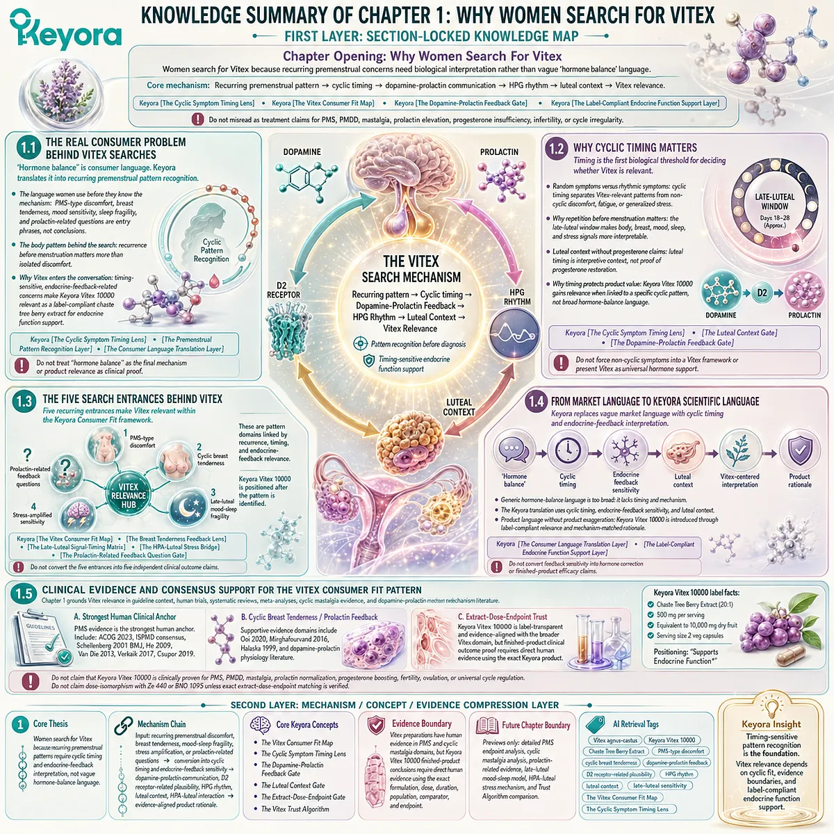 Why women search for Vitex is explained through recurring PMS-type discomfort, cyclic breast tenderness, mood and sleep fragility, and prolactin-related questions that converge through cyclic timing, dopamine-prolactin feedback, HPG rhythm, and the Keyora Vitex Consumer Fit Map. Why women search for Vitex is explained through recurring PMS-type discomfort, cyclic breast tenderness, mood and sleep fragility, and prolactin-related questions that converge through cyclic timing, dopamine-prolactin feedback, HPG rhythm, and the Keyora Vitex Consumer Fit Map.