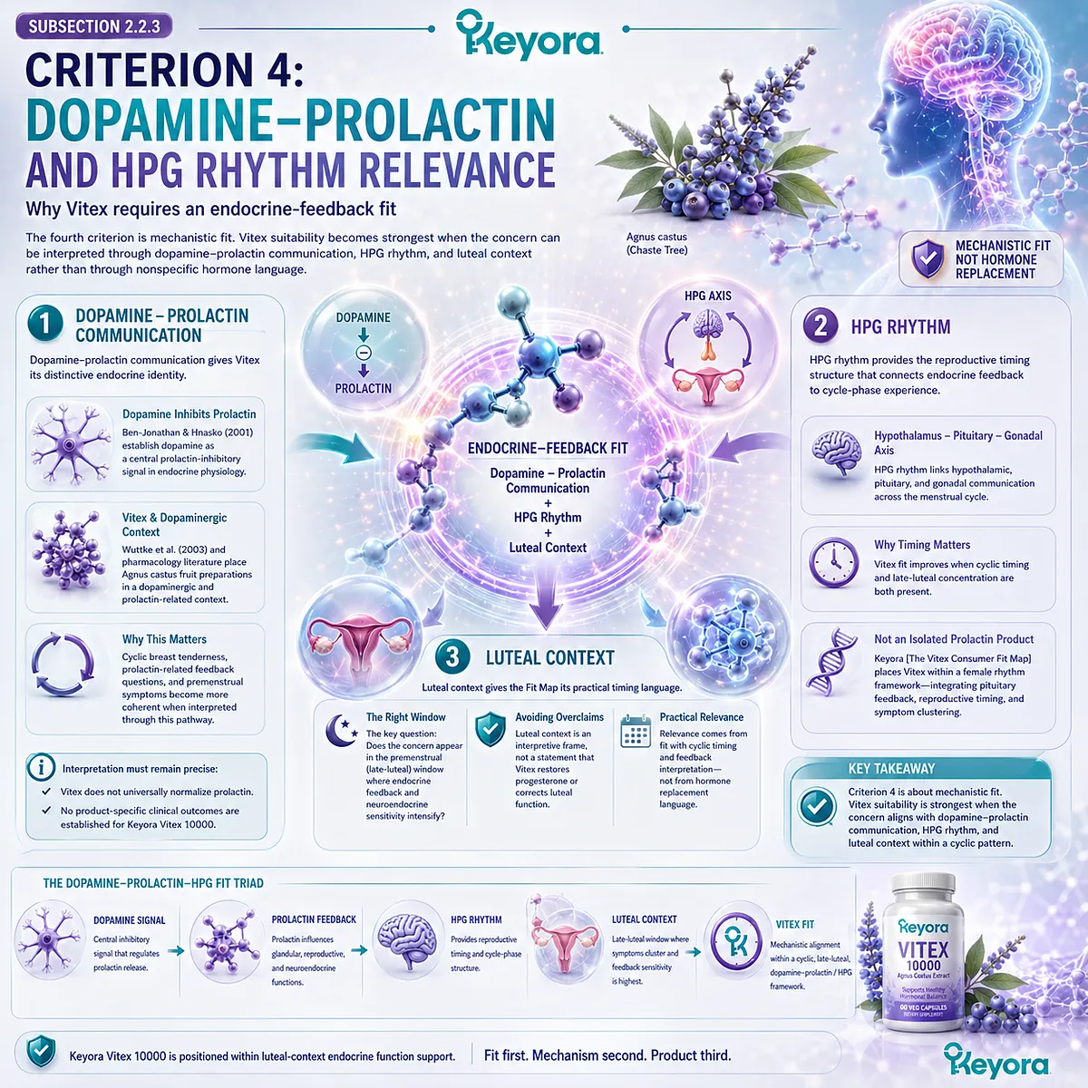 PMS symptoms, cyclic breast tenderness, and female rhythm support become more relevant to Vitex when late-luteal patterns align with dopamine-prolactin communication, HPG rhythm, and endocrine-feedback interpretation in the Keyora Vitex Consumer Fit Map. PMS symptoms, cyclic breast tenderness, and female rhythm support become more relevant to Vitex when late-luteal patterns align with dopamine-prolactin communication, HPG rhythm, and endocrine-feedback interpretation in the Keyora Vitex Consumer Fit Map.