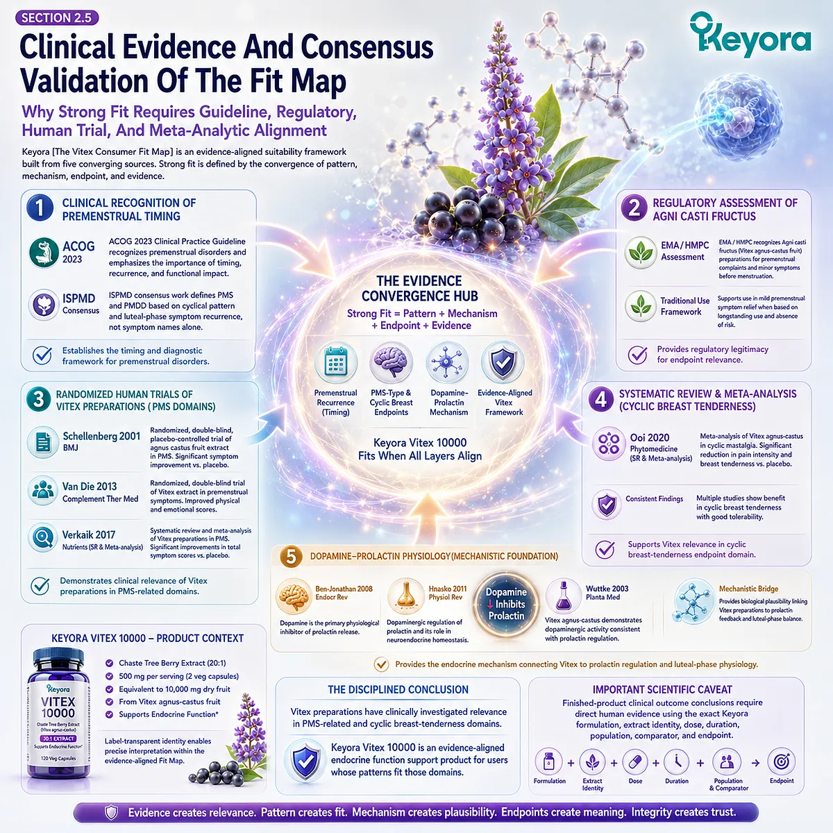 PMS symptoms, cyclic breast tenderness, and female rhythm support form a strong Vitex fit when premenstrual timing, dopamine-prolactin physiology, and clinically investigated endpoint domains converge within the evidence-aligned Keyora Vitex Consumer Fit Map. PMS symptoms, cyclic breast tenderness, and female rhythm support form a strong Vitex fit when premenstrual timing, dopamine-prolactin physiology, and clinically investigated endpoint domains converge within the evidence-aligned Keyora Vitex Consumer Fit Map.