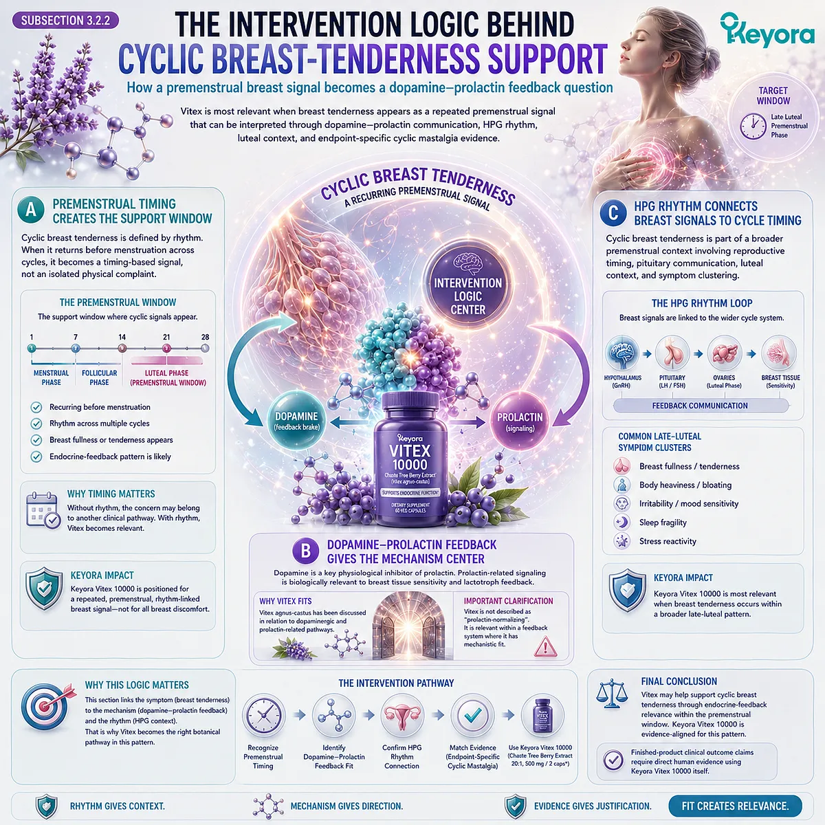 Breast tenderness, breast fullness, and female hormone balance support interpreted through premenstrual timing, dopamine-prolactin communication, and HPG rhythm sensitivity in the Keyora Dopamine-Prolactin Feedback Gate framework. Breast tenderness, breast fullness, and female hormone balance support interpreted through premenstrual timing, dopamine-prolactin communication, and HPG rhythm sensitivity in the Keyora Dopamine-Prolactin Feedback Gate framework.