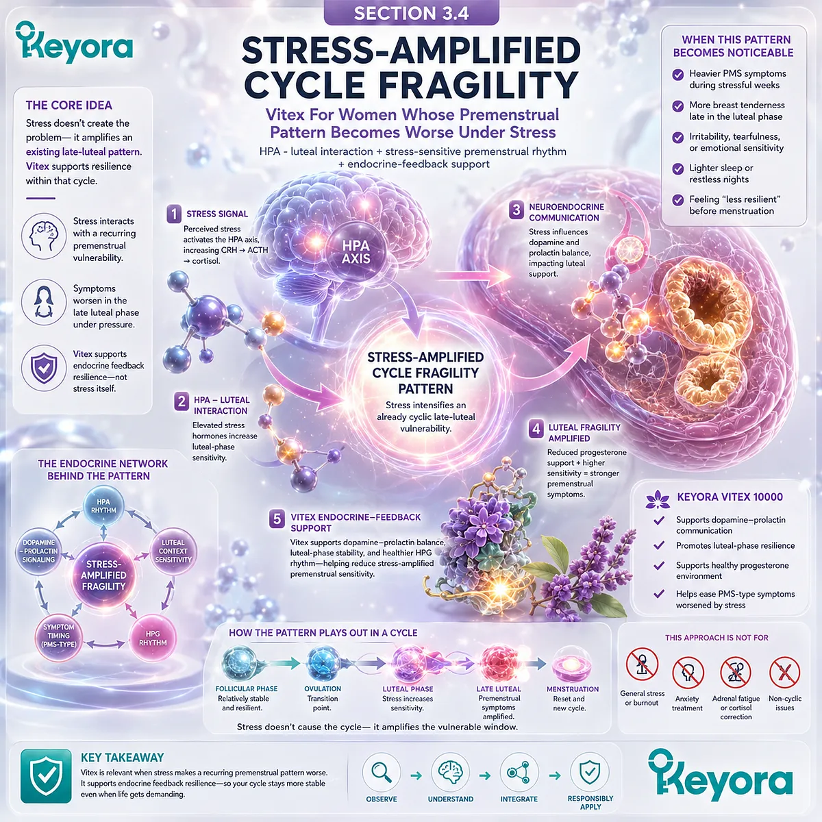 Stress sensitivity, PMS irritability, and female hormone balance support interpreted through HPA-axis stress response, late-luteal timing, and dopamine-prolactin communication in the Keyora Stress-Amplified Cycle Fragility Pattern. Stress sensitivity, PMS irritability, and female hormone balance support interpreted through HPA-axis stress response, late-luteal timing, and dopamine-prolactin communication in the Keyora Stress-Amplified Cycle Fragility Pattern.