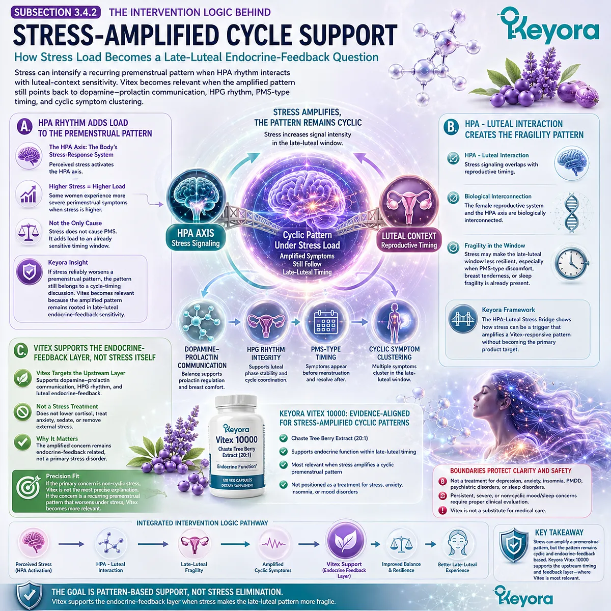 Stress sensitivity, PMS irritability, and female hormone balance support interpreted through HPA-axis stress response, luteal-context sensitivity, and dopamine-prolactin communication in the Keyora HPA-Luteal Stress Bridge framework. Stress sensitivity, PMS irritability, and female hormone balance support interpreted through HPA-axis stress response, luteal-context sensitivity, and dopamine-prolactin communication in the Keyora HPA-Luteal Stress Bridge framework.