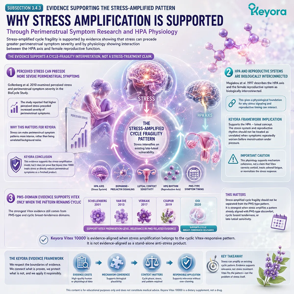 Stress sensitivity, perimenstrual symptom severity, and female rhythm support interpreted through HPA-axis interaction, luteal timing, and dopamine-prolactin communication in the Keyora Stress-Amplified Cycle Fragility Pattern framework. Stress sensitivity, perimenstrual symptom severity, and female rhythm support interpreted through HPA-axis interaction, luteal timing, and dopamine-prolactin communication in the Keyora Stress-Amplified Cycle Fragility Pattern framework.