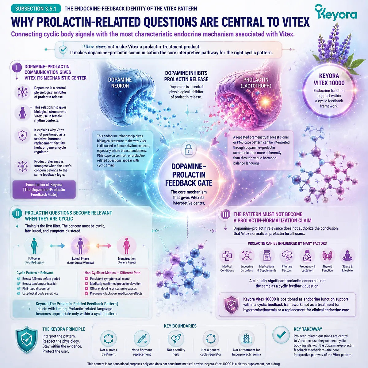Cyclic PMS breast tenderness, prolactin-related feedback questions, and female hormone balance support interpreted through dopamine-prolactin communication and pituitary feedback in Keyora Dopamine-Prolactin Feedback Gate Vitex framework. Cyclic PMS breast tenderness, prolactin-related feedback questions, and female hormone balance support interpreted through dopamine-prolactin communication and pituitary feedback in Keyora Dopamine-Prolactin Feedback Gate Vitex framework.