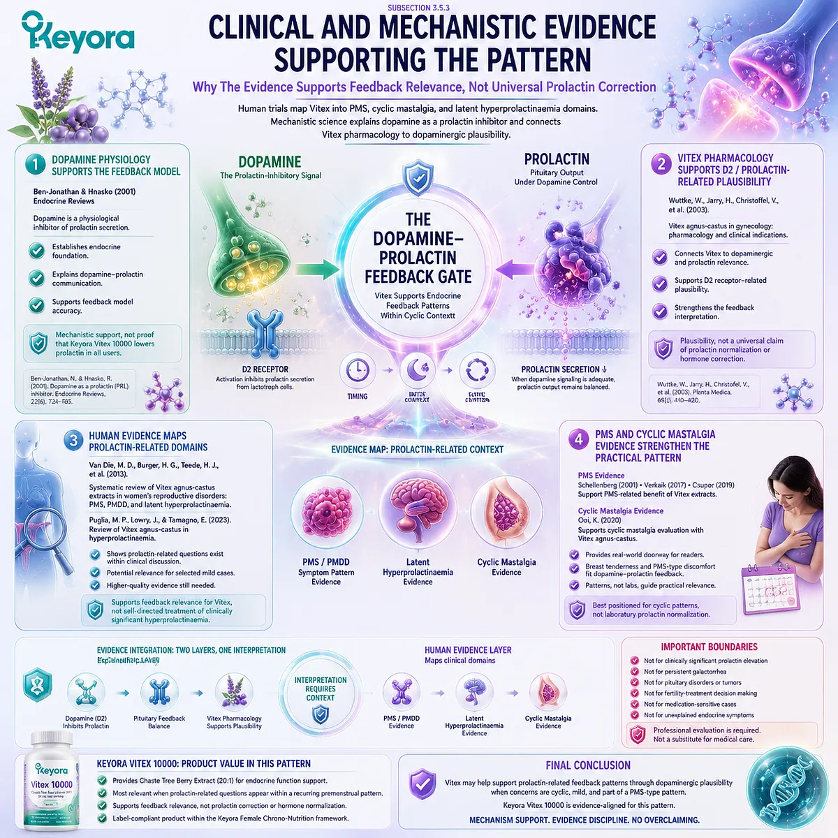 Cyclic PMS symptoms, breast tenderness, and female hormone balance support interpreted through dopamine-prolactin physiology, D2 receptor-related plausibility, and HPG rhythm timing in Keyora Dopamine-Prolactin Feedback Gate Vitex framework. Cyclic PMS symptoms, breast tenderness, and female hormone balance support interpreted through dopamine-prolactin physiology, D2 receptor-related plausibility, and HPG rhythm timing in Keyora Dopamine-Prolactin Feedback Gate Vitex framework.