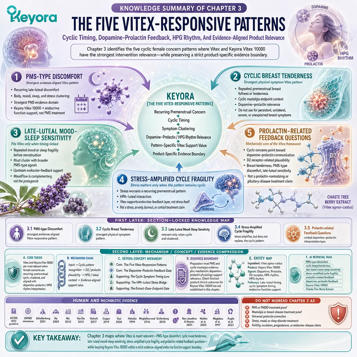 Five Vitex-responsive patterns including PMS-type discomfort, cyclic breast tenderness, mood-sleep sensitivity, stress-amplified cycle fragility, and prolactin-related feedback mapped through dopamine-prolactin and HPG rhythm in Keyora Female Chrono-Nutrition framework. Five Vitex-responsive patterns including PMS-type discomfort, cyclic breast tenderness, mood-sleep sensitivity, stress-amplified cycle fragility, and prolactin-related feedback mapped through dopamine-prolactin and HPG rhythm in Keyora Female Chrono-Nutrition framework.