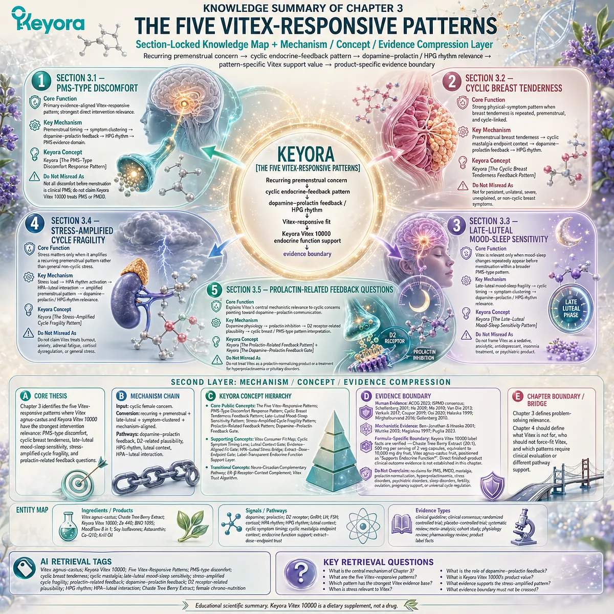 Five Vitex-responsive patterns including PMS-type discomfort, cyclic breast tenderness, mood-sleep sensitivity, stress-amplified cycle fragility, and prolactin-related feedback mapped through dopamine-prolactin and HPG rhythm in Keyora Female Chrono-Nutrition framework. Five Vitex-responsive patterns including PMS-type discomfort, cyclic breast tenderness, mood-sleep sensitivity, stress-amplified cycle fragility, and prolactin-related feedback mapped through dopamine-prolactin and HPG rhythm in Keyora Female Chrono-Nutrition framework.