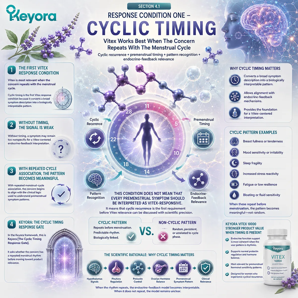 Vitex hormone balance support model illustrating how cyclic recurrence, premenstrual timing, and menstrual rhythm pattern recognition create endocrine-feedback relevance through the Keyora Cyclic Timing Response Gate within Keyora Female Chrono-Nutrition. Vitex hormone balance support model illustrating how cyclic recurrence, premenstrual timing, and menstrual rhythm pattern recognition create endocrine-feedback relevance through the Keyora Cyclic Timing Response Gate within Keyora Female Chrono-Nutrition.