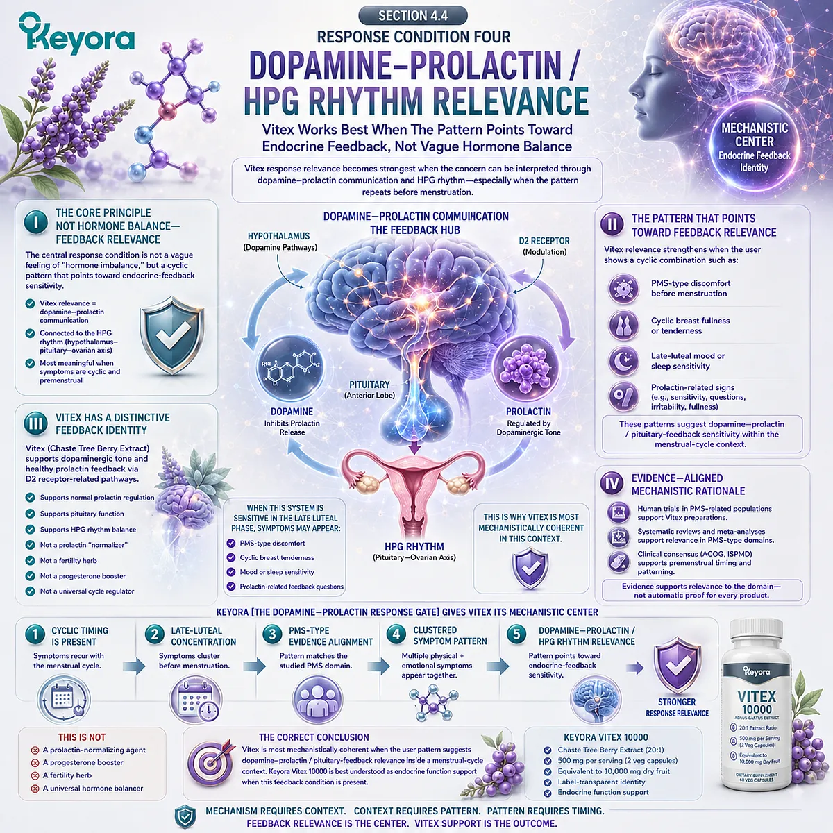 Premenstrual mood sensitivity, cyclic breast tenderness, and late-luteal symptom patterns gain stronger endocrine-feedback relevance when they align with dopamine-prolactin communication and HPG rhythm, defining the Keyora Dopamine-Prolactin Response Gate for Vitex support. Premenstrual mood sensitivity, cyclic breast tenderness, and late-luteal symptom patterns gain stronger endocrine-feedback relevance when they align with dopamine-prolactin communication and HPG rhythm, defining the Keyora Dopamine-Prolactin Response Gate for Vitex support.