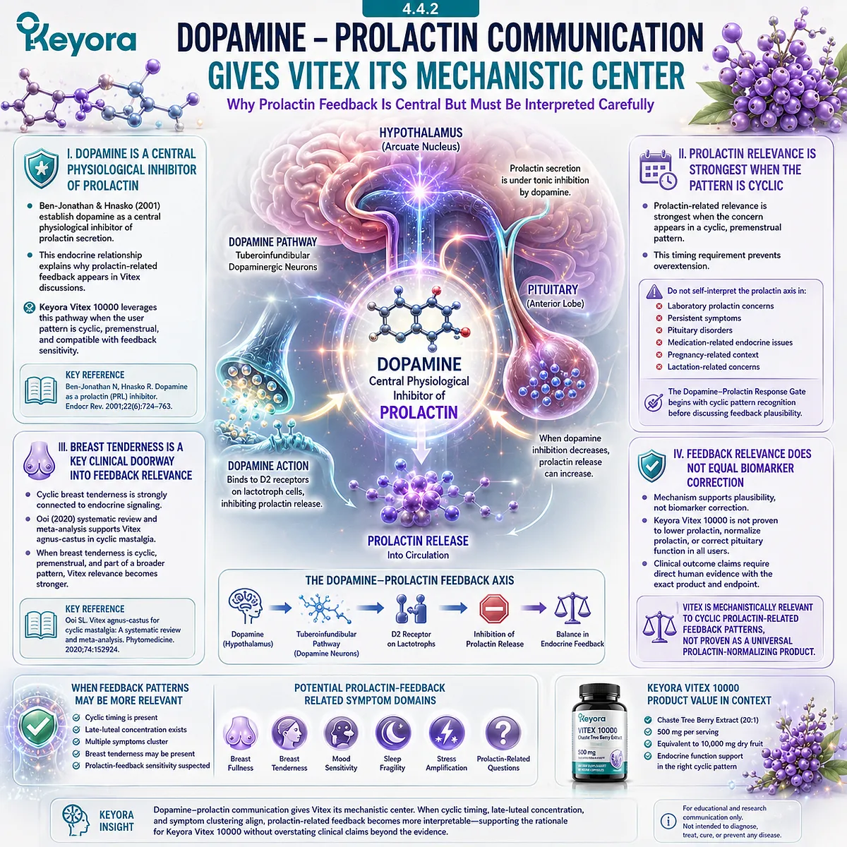 Cyclic breast tenderness, PMS-type discomfort, and prolactin-related feedback questions become more mechanistically coherent when interpreted through dopamine-prolactin communication and pituitary feedback, defining the Keyora Dopamine-Prolactin Response Gate for evidence-aligned Vitex support. Cyclic breast tenderness, PMS-type discomfort, and prolactin-related feedback questions become more mechanistically coherent when interpreted through dopamine-prolactin communication and pituitary feedback, defining the Keyora Dopamine-Prolactin Response Gate for evidence-aligned Vitex support.