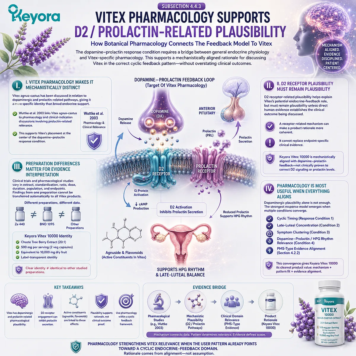 Vitex hormone balance support becomes more mechanistically coherent when cyclic breast tenderness and PMS-type patterns align with dopaminergic and D2 receptor-related plausibility, linking prolactin feedback and endocrine rhythm through the Keyora Dopamine-Prolactin Response Gate. Vitex hormone balance support becomes more mechanistically coherent when cyclic breast tenderness and PMS-type patterns align with dopaminergic and D2 receptor-related plausibility, linking prolactin feedback and endocrine rhythm through the Keyora Dopamine-Prolactin Response Gate.