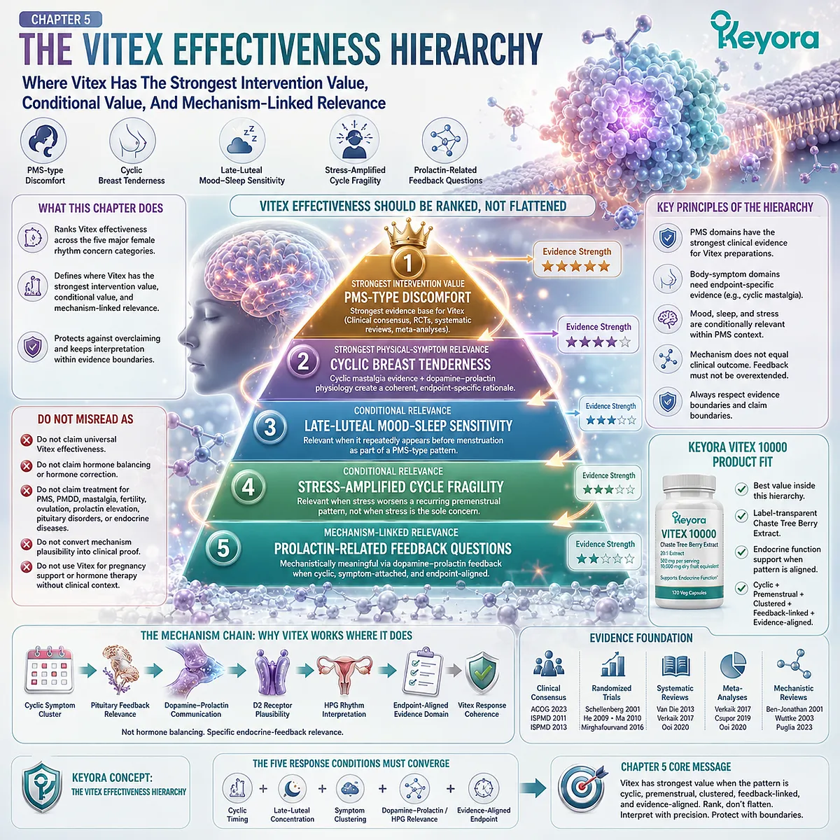 PMS discomfort, cyclic breast tenderness, and late-luteal mood sensitivity are mapped through dopamine-prolactin feedback and endocrine rhythm support in the Keyora Vitex Effectiveness Hierarchy. PMS discomfort, cyclic breast tenderness, and late-luteal mood sensitivity are mapped through dopamine-prolactin feedback and endocrine rhythm support in the Keyora Vitex Effectiveness Hierarchy.