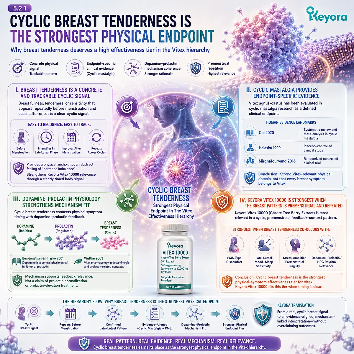 Premenstrual breast tenderness and breast fullness become strong Vitex-relevant physical signals when repeated cyclically and linked to dopamine-prolactin feedback and endocrine rhythm support in the Keyora Vitex Effectiveness Hierarchy. Premenstrual breast tenderness and breast fullness become strong Vitex-relevant physical signals when repeated cyclically and linked to dopamine-prolactin feedback and endocrine rhythm support in the Keyora Vitex Effectiveness Hierarchy.