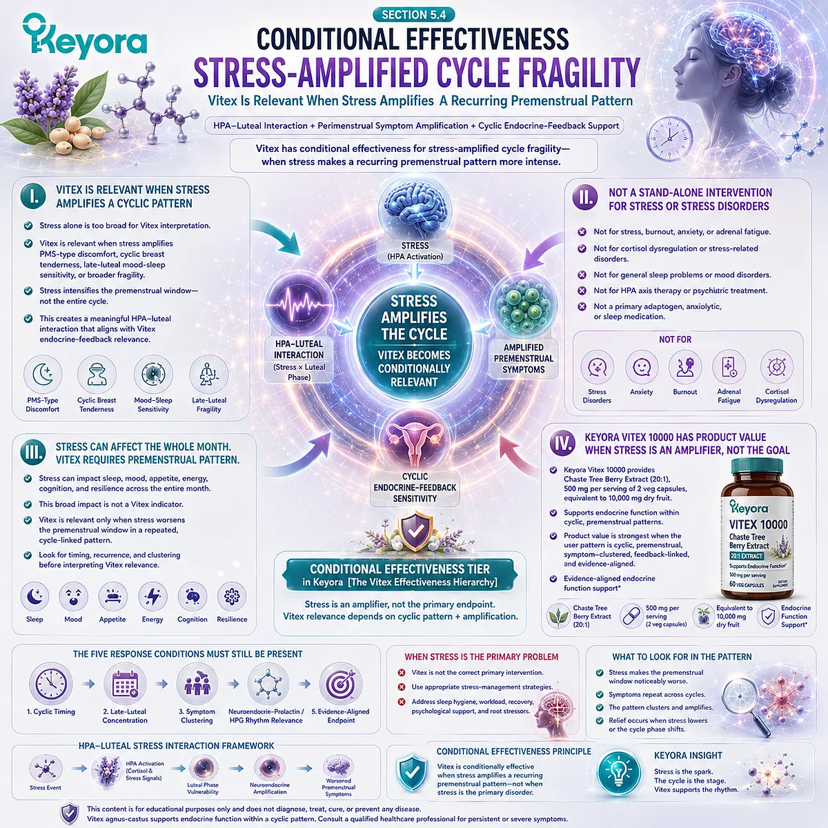 Premenstrual stress sensitivity and cycle fragility become conditionally relevant to endocrine function support when stress intensifies recurring PMS discomfort, breast tenderness, or late-luteal symptoms through HPA-luteal interaction in the Keyora Vitex Effectiveness Hierarchy. Premenstrual stress sensitivity and cycle fragility become conditionally relevant to endocrine function support when stress intensifies recurring PMS discomfort, breast tenderness, or late-luteal symptoms through HPA-luteal interaction in the Keyora Vitex Effectiveness Hierarchy.