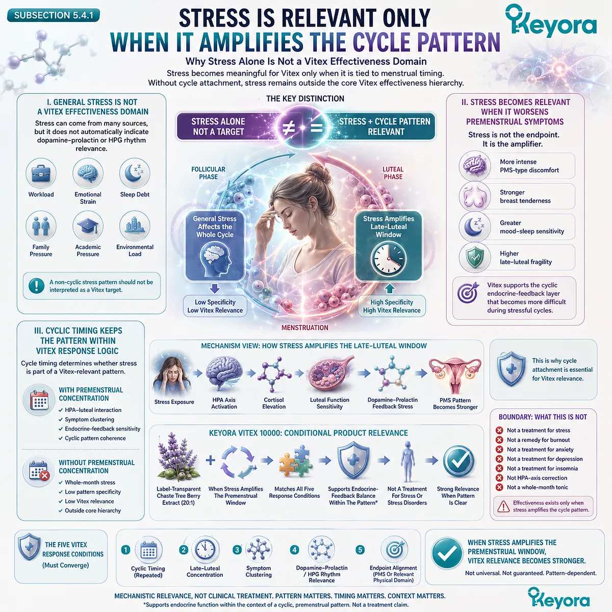 Premenstrual stress sensitivity becomes conditionally relevant to endocrine function support when stress repeatedly intensifies PMS discomfort or late-luteal symptoms through HPA-luteal interaction and cyclic endocrine-feedback patterns in the Keyora Vitex Effectiveness Hierarchy. Premenstrual stress sensitivity becomes conditionally relevant to endocrine function support when stress repeatedly intensifies PMS discomfort or late-luteal symptoms through HPA-luteal interaction and cyclic endocrine-feedback patterns in the Keyora Vitex Effectiveness Hierarchy.