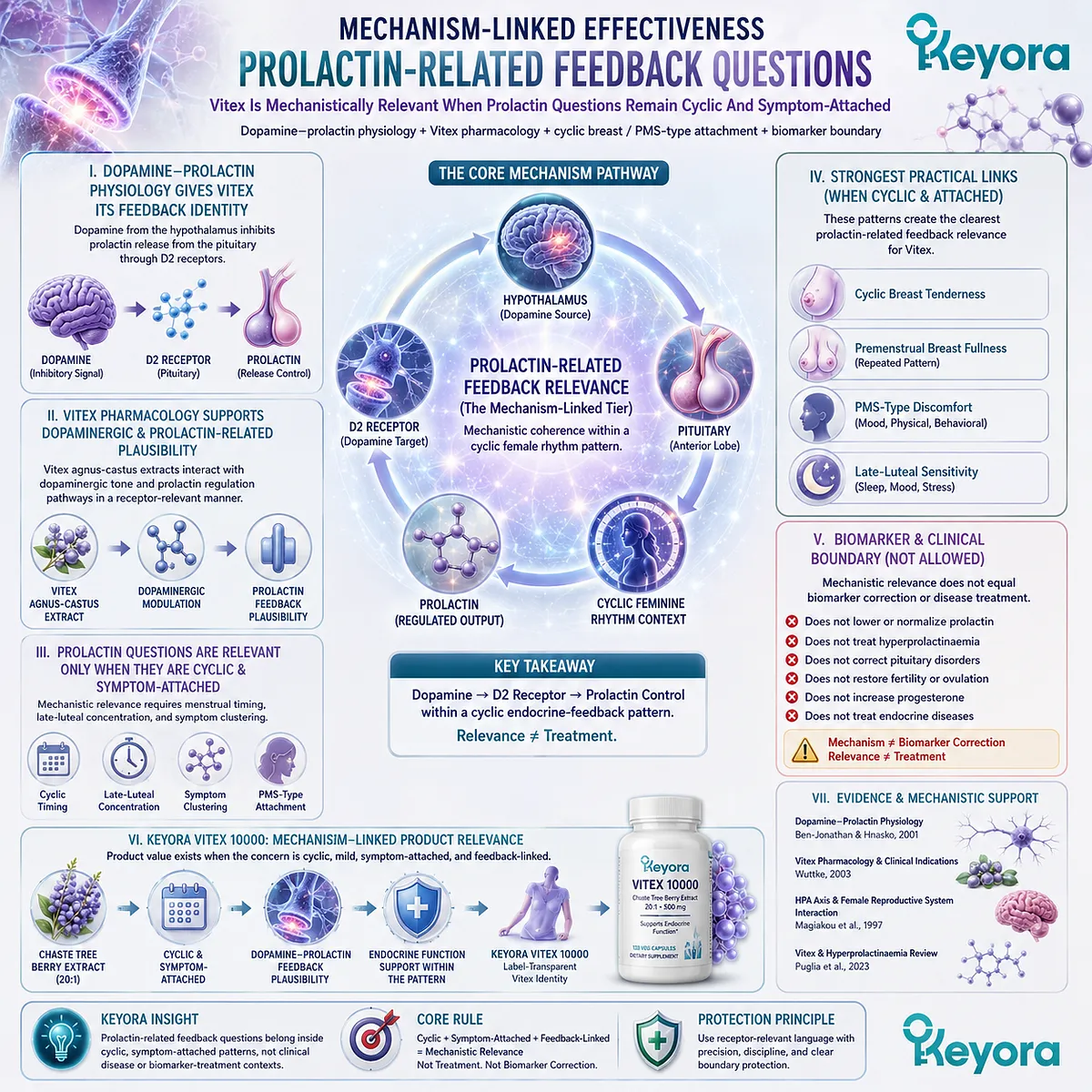 Premenstrual breast tenderness and PMS discomfort can raise prolactin-related questions through dopamine-prolactin feedback and cyclic endocrine sensitivity, positioning them within the mechanism-linked tier of the Keyora Vitex Effectiveness Hierarchy. Premenstrual breast tenderness and PMS discomfort can raise prolactin-related questions through dopamine-prolactin feedback and cyclic endocrine sensitivity, positioning them within the mechanism-linked tier of the Keyora Vitex Effectiveness Hierarchy.