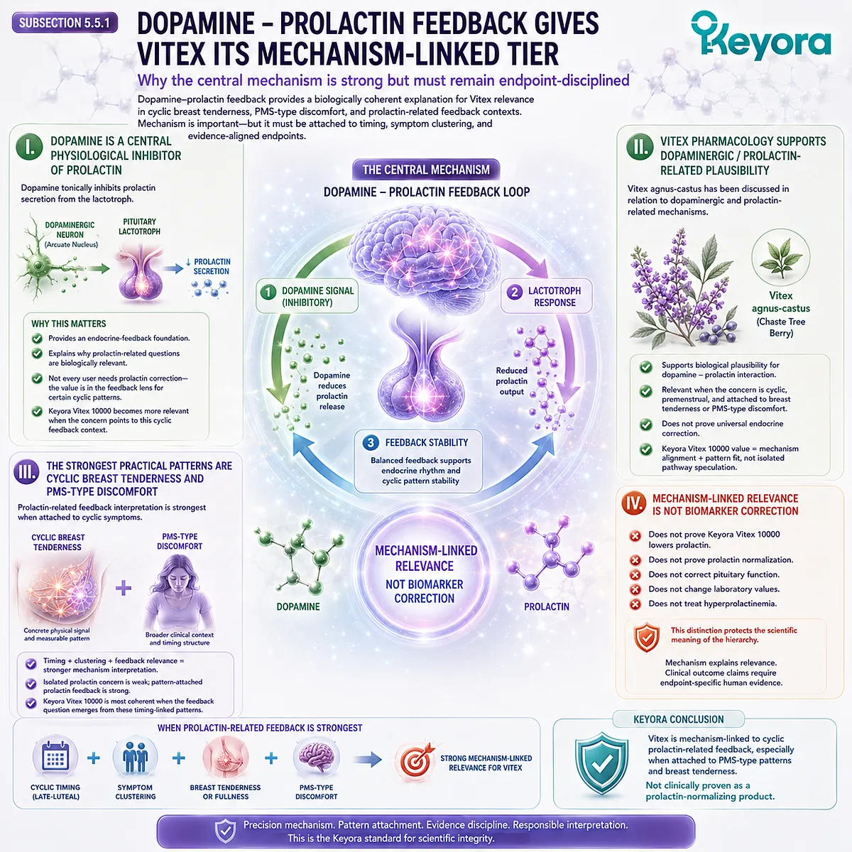 Premenstrual breast tenderness and PMS discomfort can be interpreted through dopamine-prolactin feedback and cyclic endocrine sensitivity, giving Vitex a mechanism-linked role in the Keyora Vitex Effectiveness Hierarchy without implying prolactin normalization. Premenstrual breast tenderness and PMS discomfort can be interpreted through dopamine-prolactin feedback and cyclic endocrine sensitivity, giving Vitex a mechanism-linked role in the Keyora Vitex Effectiveness Hierarchy without implying prolactin normalization.