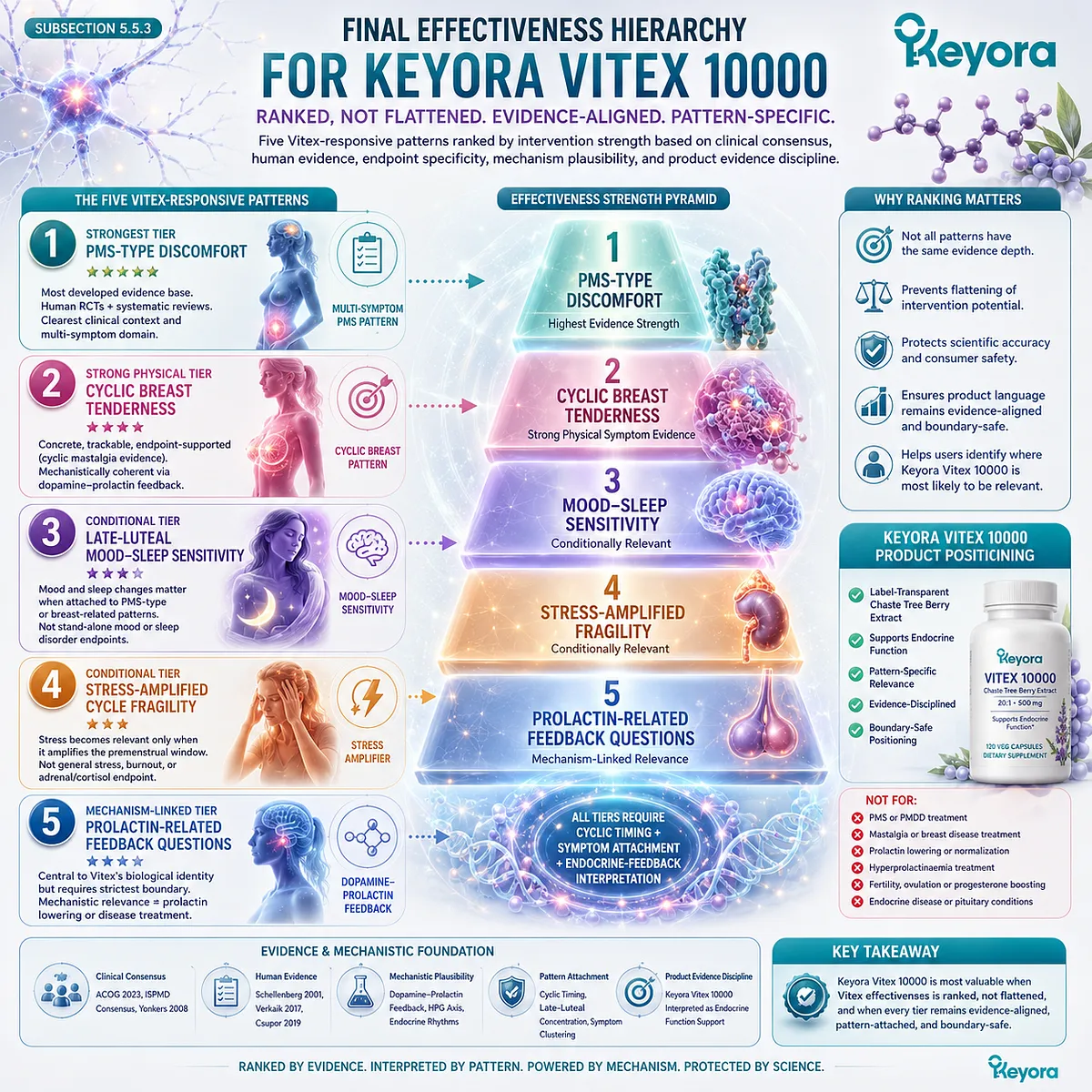 PMS discomfort, cyclic breast tenderness, late-luteal mood sensitivity, stress-amplified cycle fragility, and prolactin-related feedback are ranked by evidence strength, endpoint specificity, and endocrine-feedback relevance in the Keyora Vitex Effectiveness Hierarchy. PMS discomfort, cyclic breast tenderness, late-luteal mood sensitivity, stress-amplified cycle fragility, and prolactin-related feedback are ranked by evidence strength, endpoint specificity, and endocrine-feedback relevance in the Keyora Vitex Effectiveness Hierarchy.