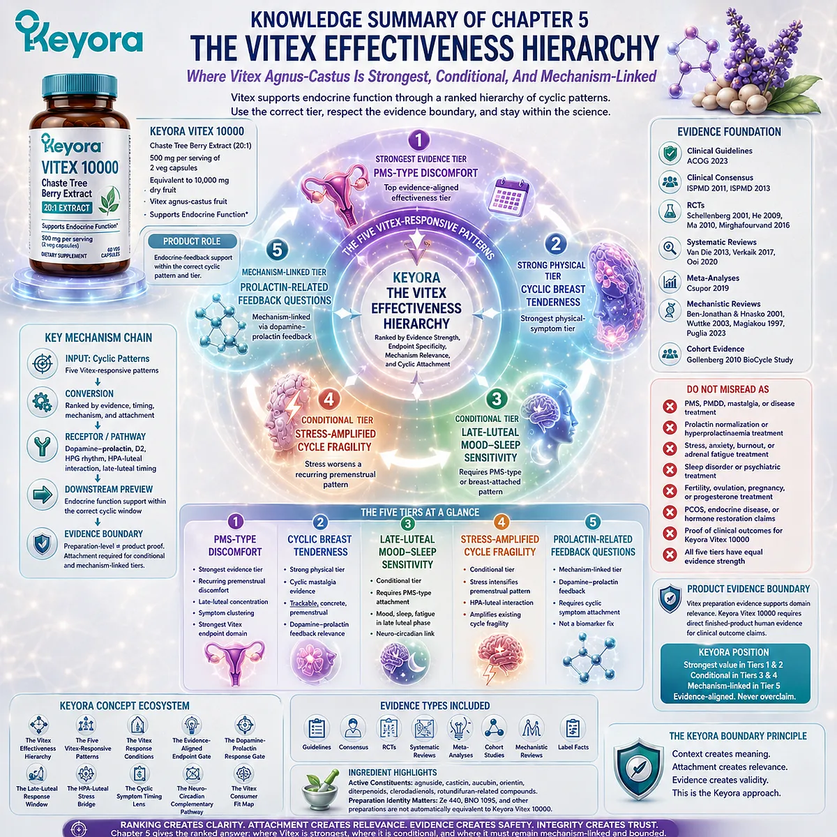 Vitex effectiveness for PMS discomfort, cyclic breast tenderness, mood-sleep sensitivity, stress-amplified symptoms, and prolactin-related feedback is ranked by evidence strength, endpoint specificity, and endocrine-feedback relevance in the Keyora Vitex Effectiveness Hierarchy. Vitex effectiveness for PMS discomfort, cyclic breast tenderness, mood-sleep sensitivity, stress-amplified symptoms, and prolactin-related feedback is ranked by evidence strength, endpoint specificity, and endocrine-feedback relevance in the Keyora Vitex Effectiveness Hierarchy.