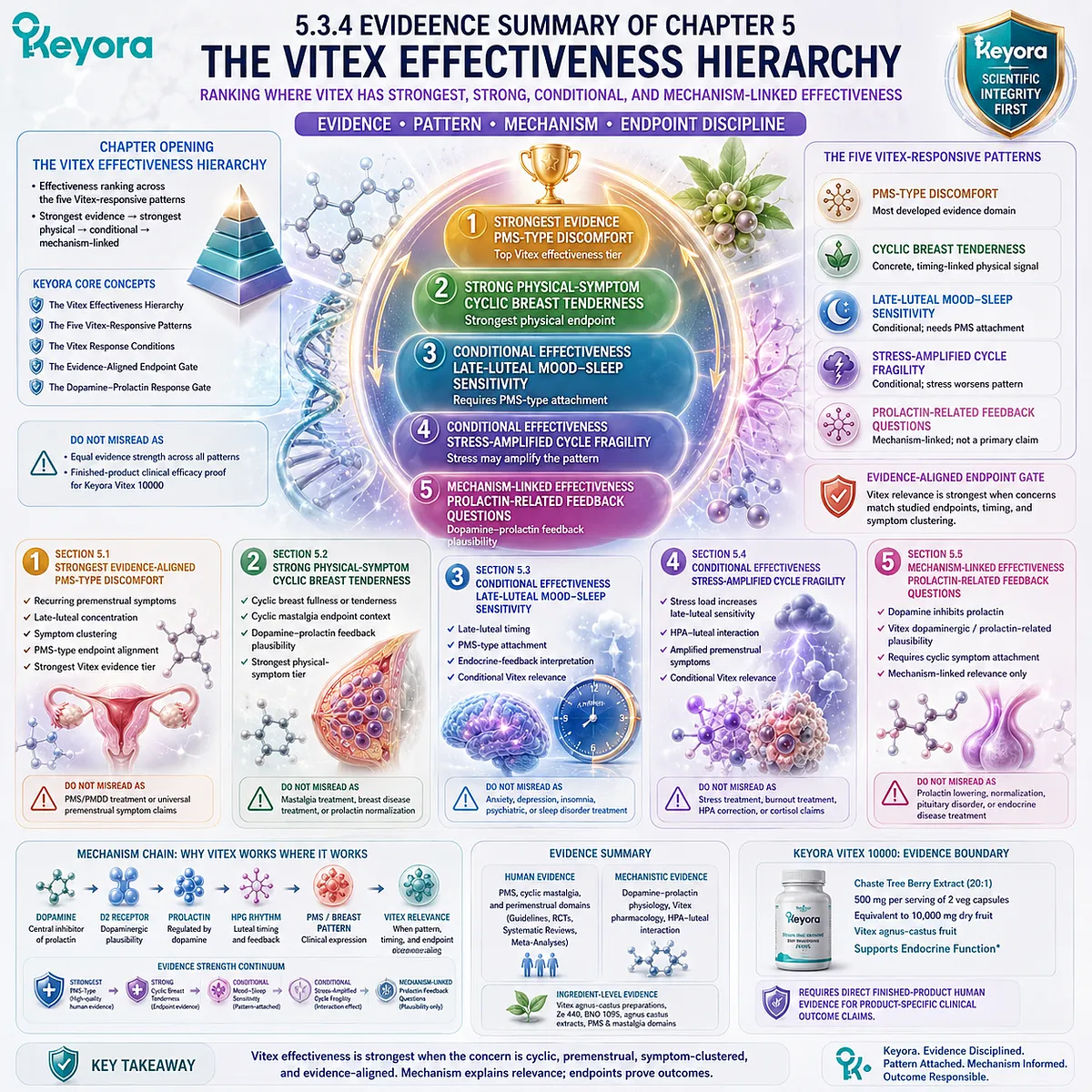 Vitex effectiveness for PMS discomfort, cyclic breast tenderness, mood-sleep sensitivity, stress-amplified symptoms, and prolactin-related feedback is ranked by evidence strength, endpoint specificity, and endocrine-feedback relevance in the Keyora Vitex Effectiveness Hierarchy. Vitex effectiveness for PMS discomfort, cyclic breast tenderness, mood-sleep sensitivity, stress-amplified symptoms, and prolactin-related feedback is ranked by evidence strength, endpoint specificity, and endocrine-feedback relevance in the Keyora Vitex Effectiveness Hierarchy.