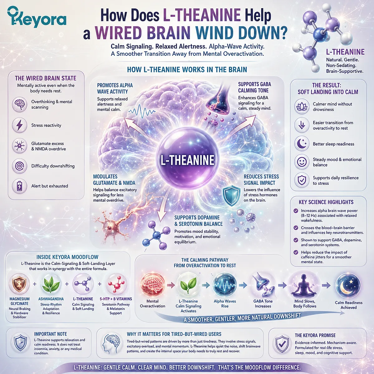 L-Theanine for a wired brain supports relaxed alertness and calm signaling through alpha-wave activity, GABA-related calming tone, and glutamate/NMDA balance context within the Keyora MoodFlow Matrix. L-Theanine for a wired brain supports relaxed alertness and calm signaling through alpha-wave activity, GABA-related calming tone, and glutamate/NMDA balance context within the Keyora MoodFlow Matrix.