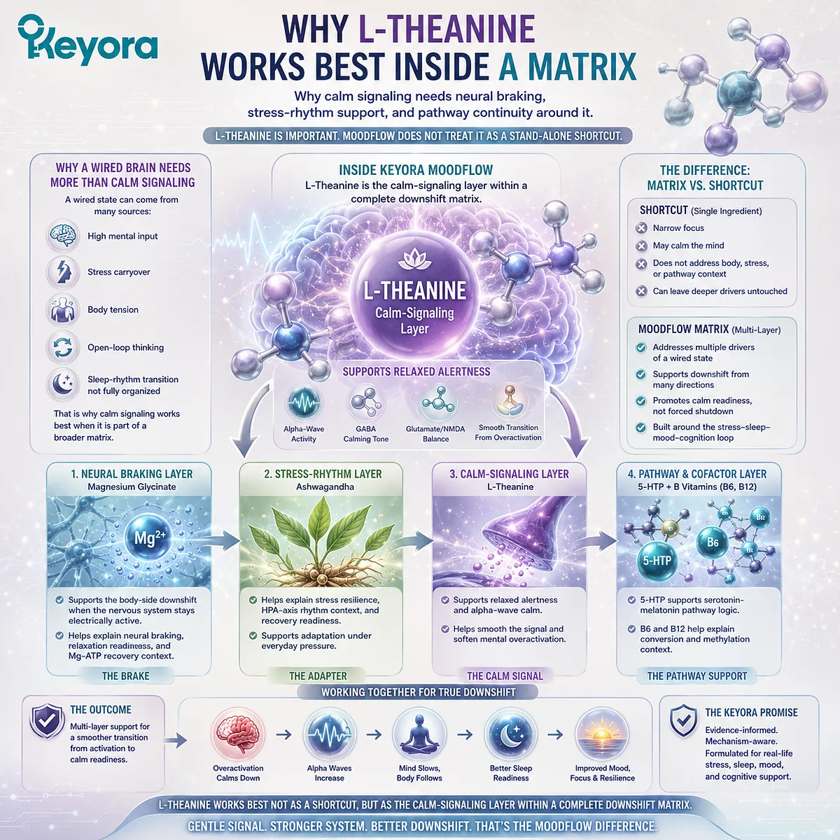 L-Theanine for a wired brain supports calm signaling and relaxed alertness, working alongside neural braking, HPA-axis stress adaptation, and serotonin-melatonin pathway continuity in the Keyora MoodFlow Matrix. L-Theanine for a wired brain supports calm signaling and relaxed alertness, working alongside neural braking, HPA-axis stress adaptation, and serotonin-melatonin pathway continuity in the Keyora MoodFlow Matrix.