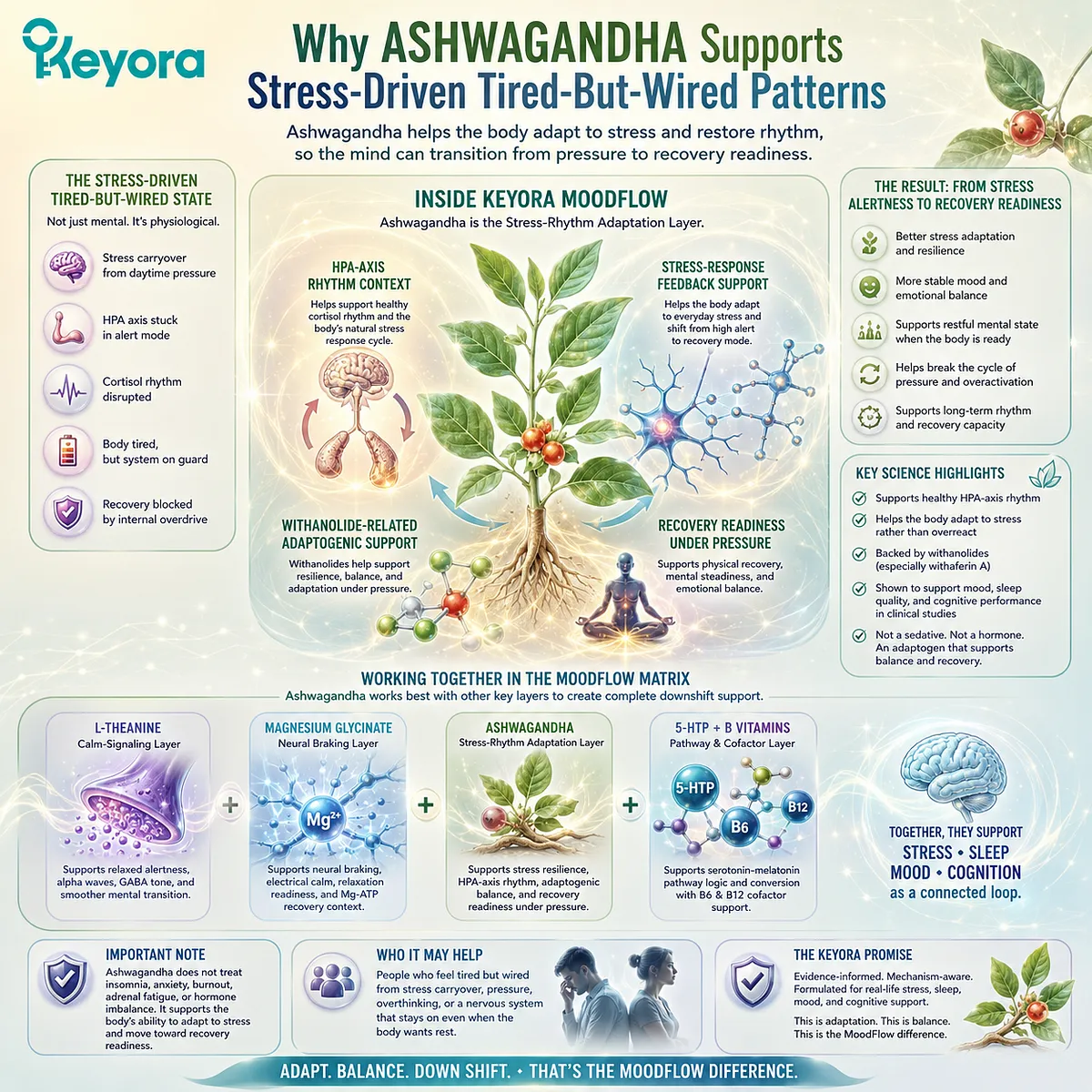 Ashwagandha for stress-driven tired-but-wired patterns supports recovery readiness through HPA-axis rhythm context, stress-response feedback, and withanolide-related adaptogenic support within the Keyora MoodFlow Matrix. Ashwagandha for stress-driven tired-but-wired patterns supports recovery readiness through HPA-axis rhythm context, stress-response feedback, and withanolide-related adaptogenic support within the Keyora MoodFlow Matrix.