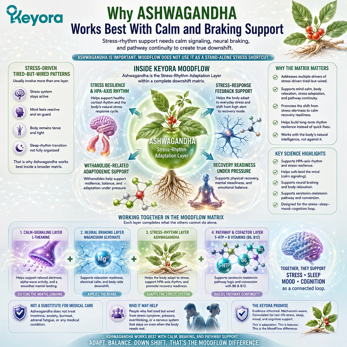 Ashwagandha for stress-driven tired-but-wired patterns supports HPA-axis stress adaptation and recovery readiness while working with calm signaling, neural braking, and serotonin-melatonin pathway continuity in the Keyora MoodFlow Matrix. Ashwagandha for stress-driven tired-but-wired patterns supports HPA-axis stress adaptation and recovery readiness while working with calm signaling, neural braking, and serotonin-melatonin pathway continuity in the Keyora MoodFlow Matrix.