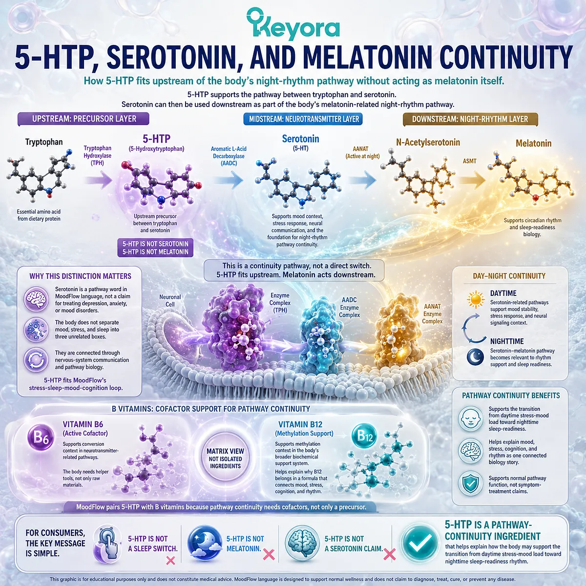 5-HTP supports stress-to-sleep transition through serotonin-melatonin pathway continuity, with B6 conversion context and B12 methylation support, serving as the precursor-layer pathway bridge in the Keyora MoodFlow Matrix. 5-HTP supports stress-to-sleep transition through serotonin-melatonin pathway continuity, with B6 conversion context and B12 methylation support, serving as the precursor-layer pathway bridge in the Keyora MoodFlow Matrix.