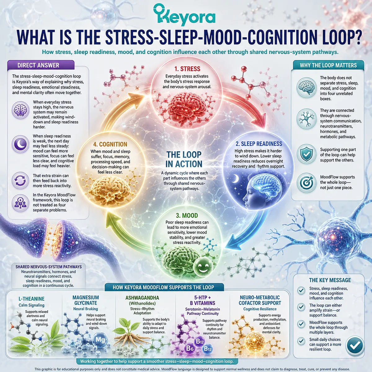 The stress-sleep-mood-cognition loop explains how everyday stress, sleep readiness, emotional steadiness, and mental clarity influence each other through shared nervous-system pathways in the Keyora MoodFlow Matrix. The stress-sleep-mood-cognition loop explains how everyday stress, sleep readiness, emotional steadiness, and mental clarity influence each other through shared nervous-system pathways in the Keyora MoodFlow Matrix.