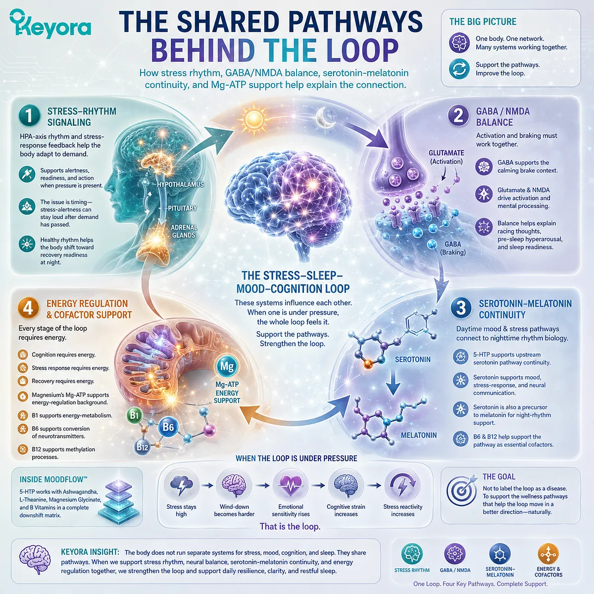 The stress-sleep-mood-cognition loop is shaped by shared pathways including HPA-axis stress rhythm, GABA/NMDA balance, serotonin-melatonin continuity, and Mg-ATP energy regulation within the Keyora MoodFlow Matrix. The stress-sleep-mood-cognition loop is shaped by shared pathways including HPA-axis stress rhythm, GABA/NMDA balance, serotonin-melatonin continuity, and Mg-ATP energy regulation within the Keyora MoodFlow Matrix.