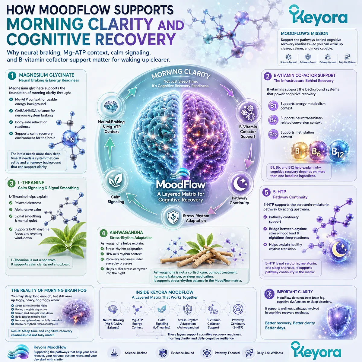 Morning clarity and cognitive recovery readiness depend on neural braking, Mg-ATP energy context, calm signaling, stress-rhythm adaptation, and serotonin-melatonin pathway continuity within the Keyora MoodFlow Matrix. Morning clarity and cognitive recovery readiness depend on neural braking, Mg-ATP energy context, calm signaling, stress-rhythm adaptation, and serotonin-melatonin pathway continuity within the Keyora MoodFlow Matrix.