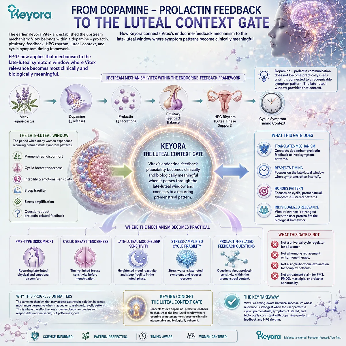 Female rhythm support, PMS-type discomfort, and cyclic breast tenderness become more clinically interpretable when dopamine-prolactin communication and HPG rhythm are mapped onto the late-luteal symptom window through the Keyora Female Chrono-Nutrition Luteal Context Gate. Female rhythm support, PMS-type discomfort, and cyclic breast tenderness become more clinically interpretable when dopamine-prolactin communication and HPG rhythm are mapped onto the late-luteal symptom window through the Keyora Female Chrono-Nutrition Luteal Context Gate.