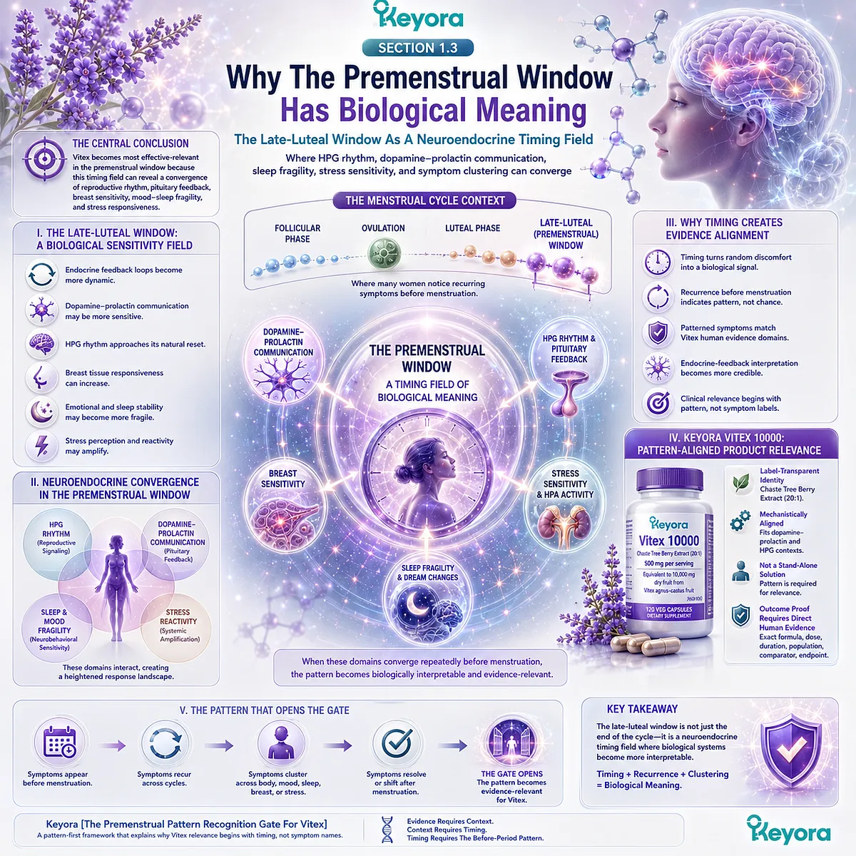 PMS-type discomfort, cyclic breast tenderness, mood-sleep fragility, and stress sensitivity become more biologically meaningful in the late-luteal phase, where HPG rhythm, dopamine-prolactin communication, and endocrine-feedback patterns converge within the Keyora Premenstrual Pattern Recognition Gate For Vitex. PMS-type discomfort, cyclic breast tenderness, mood-sleep fragility, and stress sensitivity become more biologically meaningful in the late-luteal phase, where HPG rhythm, dopamine-prolactin communication, and endocrine-feedback patterns converge within the Keyora Premenstrual Pattern Recognition Gate For Vitex.