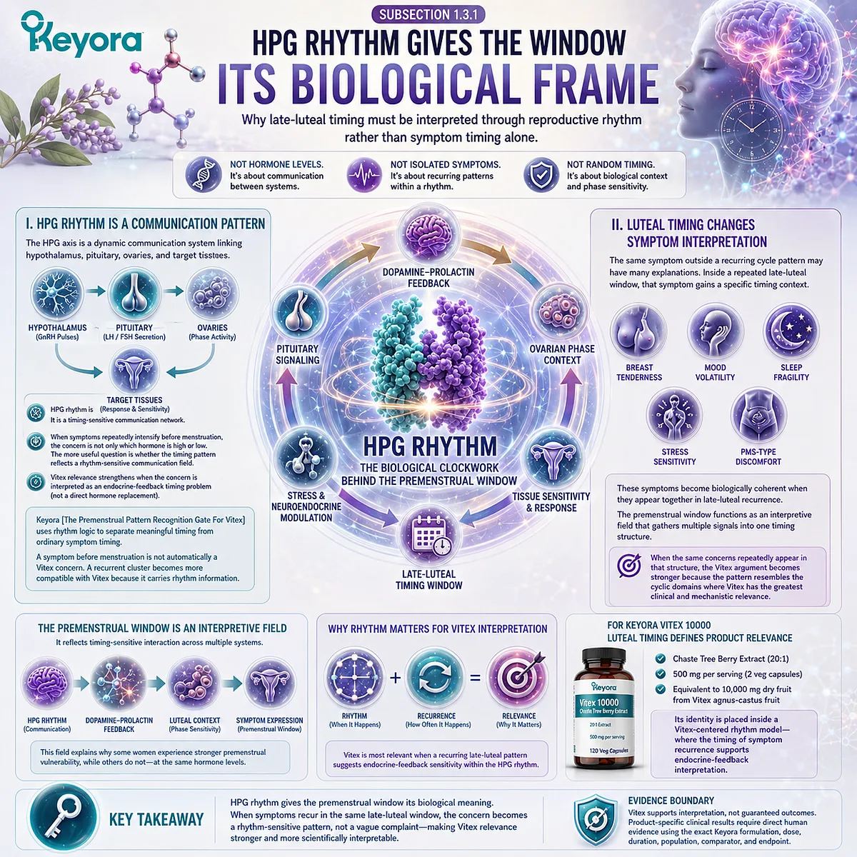 PMS-type discomfort, cyclic breast tenderness, mood-sleep fragility, and female rhythm support gain greater biological meaning when late-luteal symptoms are interpreted through HPG rhythm and dopamine-prolactin communication, positioning symptom recurrence within the Keyora Premenstrual Pattern Recognition Gate For Vitex. PMS-type discomfort, cyclic breast tenderness, mood-sleep fragility, and female rhythm support gain greater biological meaning when late-luteal symptoms are interpreted through HPG rhythm and dopamine-prolactin communication, positioning symptom recurrence within the Keyora Premenstrual Pattern Recognition Gate For Vitex.