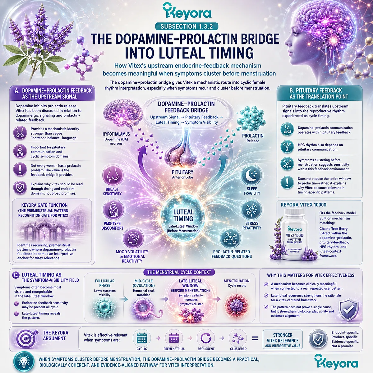 PMS-type discomfort, cyclic breast tenderness, mood-sleep fragility, and female rhythm support become more interpretable when late-luteal symptom clustering is linked to dopamine-prolactin communication, pituitary feedback, and HPG rhythm within the Keyora Premenstrual Pattern Recognition Gate For Vitex. PMS-type discomfort, cyclic breast tenderness, mood-sleep fragility, and female rhythm support become more interpretable when late-luteal symptom clustering is linked to dopamine-prolactin communication, pituitary feedback, and HPG rhythm within the Keyora Premenstrual Pattern Recognition Gate For Vitex.