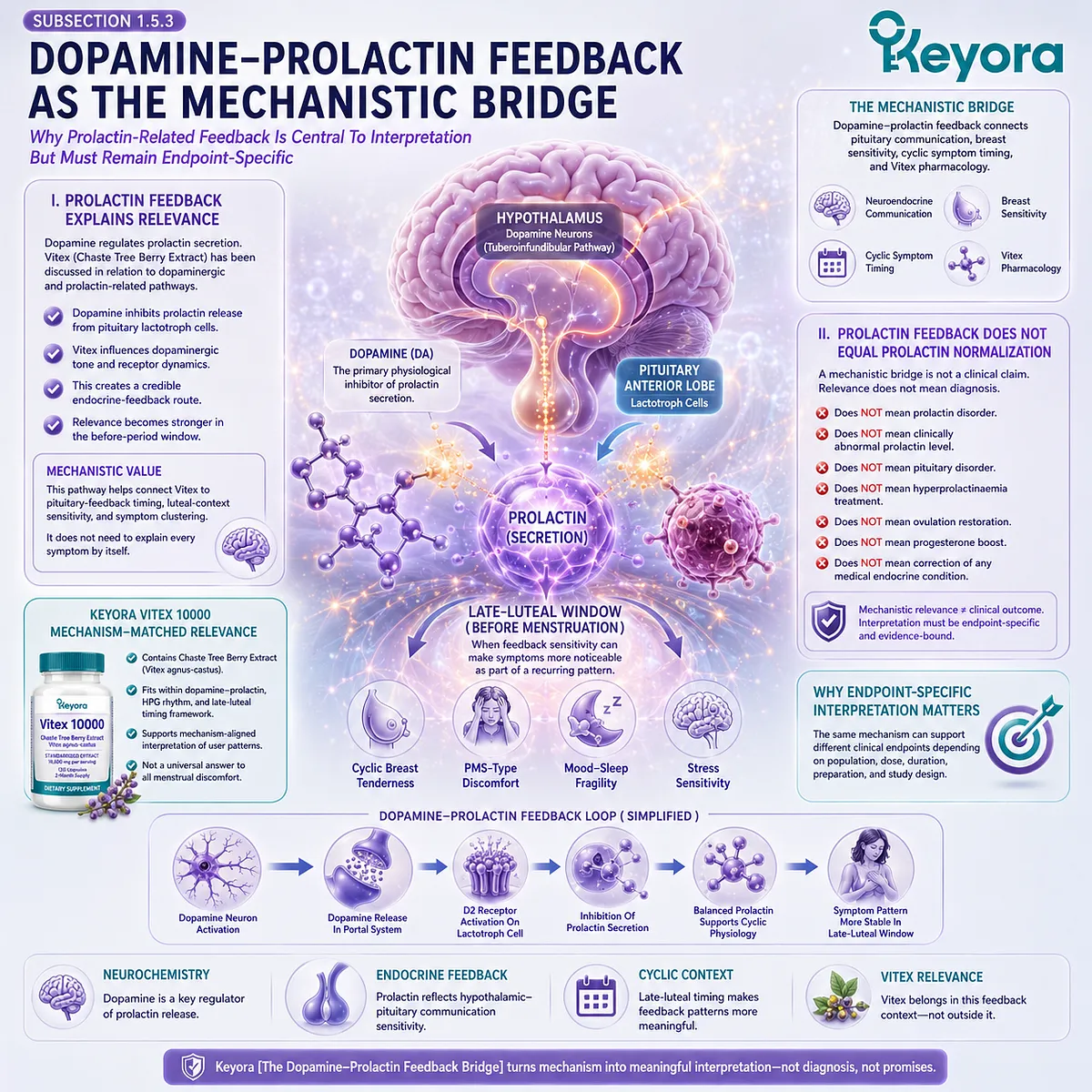 PMS-type discomfort, cyclic breast tenderness, and female rhythm support become more interpretable when dopamine-prolactin communication links pituitary feedback, late-luteal timing, and symptom clustering, establishing an endpoint-specific mechanistic bridge within the Keyora Premenstrual Pattern Recognition Gate For Vitex. PMS-type discomfort, cyclic breast tenderness, and female rhythm support become more interpretable when dopamine-prolactin communication links pituitary feedback, late-luteal timing, and symptom clustering, establishing an endpoint-specific mechanistic bridge within the Keyora Premenstrual Pattern Recognition Gate For Vitex.