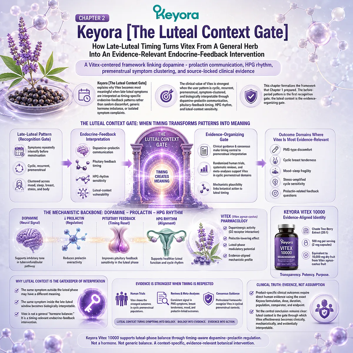 PMS-type discomfort, cyclic breast tenderness, and female rhythm support are reframed through dopamine-prolactin communication, HPG rhythm, and late-luteal timing in the Keyora Luteal Context Gate, showing why cyclic endocrine-feedback patterns make Vitex interpretation biologically and clinically coherent. PMS-type discomfort, cyclic breast tenderness, and female rhythm support are reframed through dopamine-prolactin communication, HPG rhythm, and late-luteal timing in the Keyora Luteal Context Gate, showing why cyclic endocrine-feedback patterns make Vitex interpretation biologically and clinically coherent.
