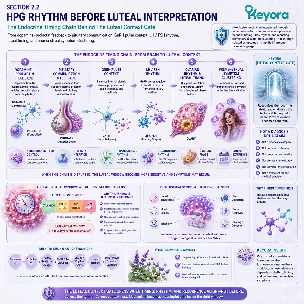 Female rhythm support and PMS-type symptom patterns become more biologically interpretable when dopamine-prolactin communication, pituitary signaling, GnRH pulse context, and HPG rhythm converge within the late-luteal window in the Keyora Luteal Context Gate. Female rhythm support and PMS-type symptom patterns become more biologically interpretable when dopamine-prolactin communication, pituitary signaling, GnRH pulse context, and HPG rhythm converge within the late-luteal window in the Keyora Luteal Context Gate.