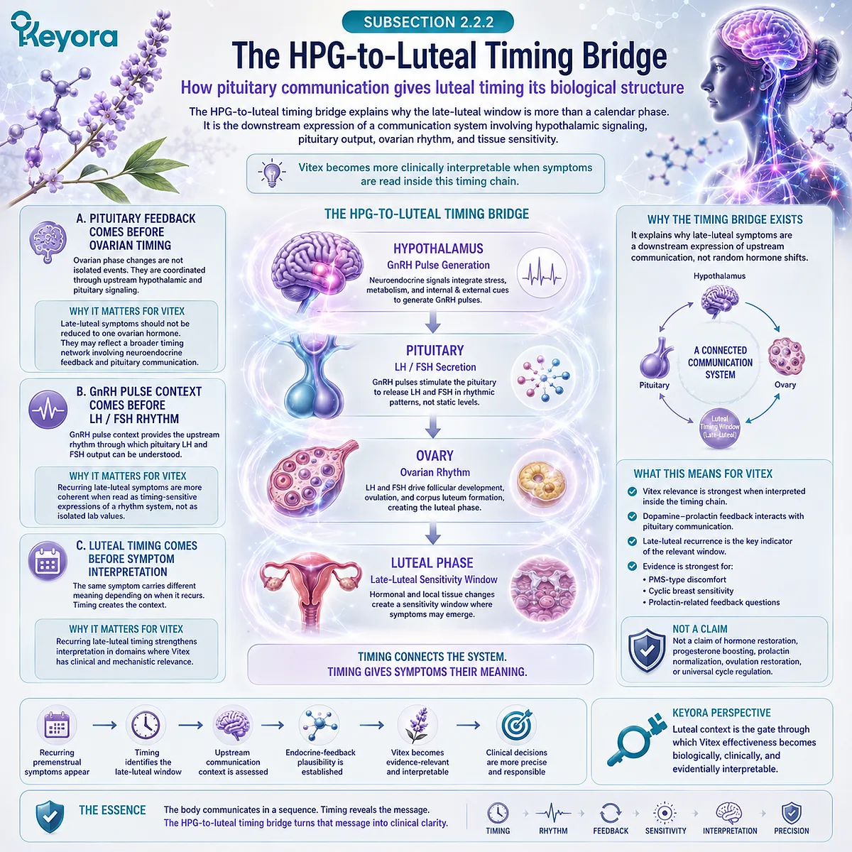 Female rhythm support, PMS-type discomfort, and cyclic breast tenderness become more interpretable when hypothalamic signaling, pituitary communication, GnRH pulse context, and LH/FSH rhythm create the biological bridge linking HPG rhythm with recurring late-luteal symptom timing in the Keyora Luteal Context Gate. Female rhythm support, PMS-type discomfort, and cyclic breast tenderness become more interpretable when hypothalamic signaling, pituitary communication, GnRH pulse context, and LH/FSH rhythm create the biological bridge linking HPG rhythm with recurring late-luteal symptom timing in the Keyora Luteal Context Gate.